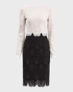 Image 1 of 5: Tadashi Shoji Two-Tone Corded Lace Dress