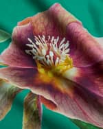 Image 3 of 3: Molo Girl's Cicela Floral-Print Dress, Size 7-12