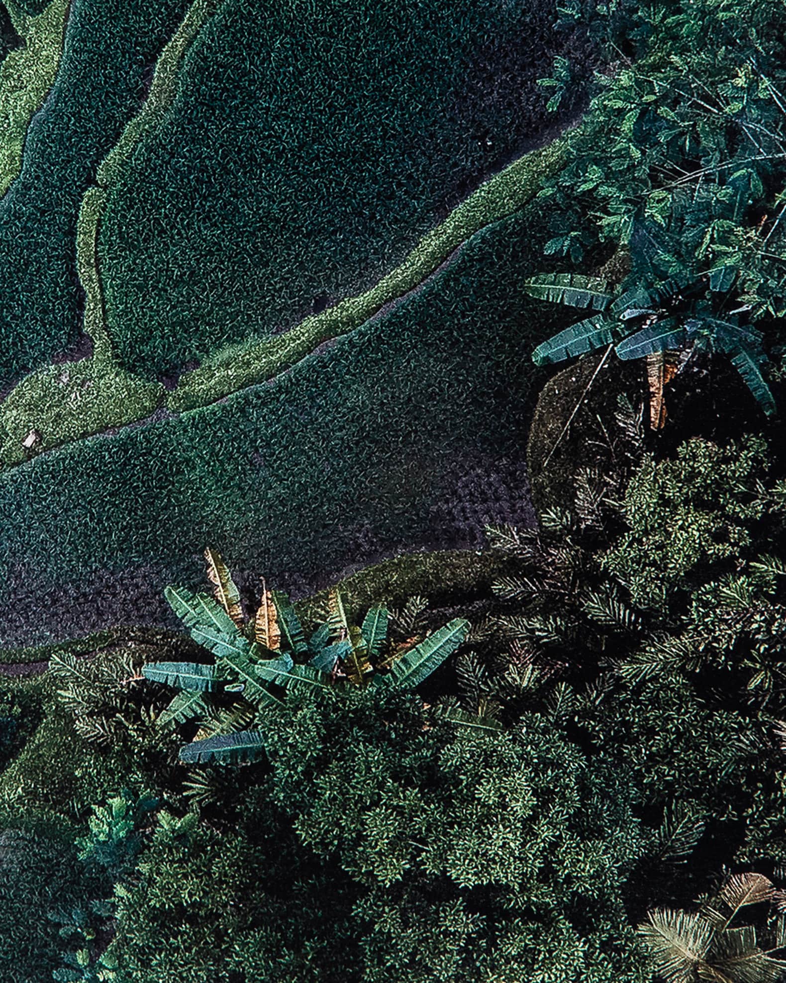 "Forever Green" Photography Print on Maple Box Framed Wall Art 1