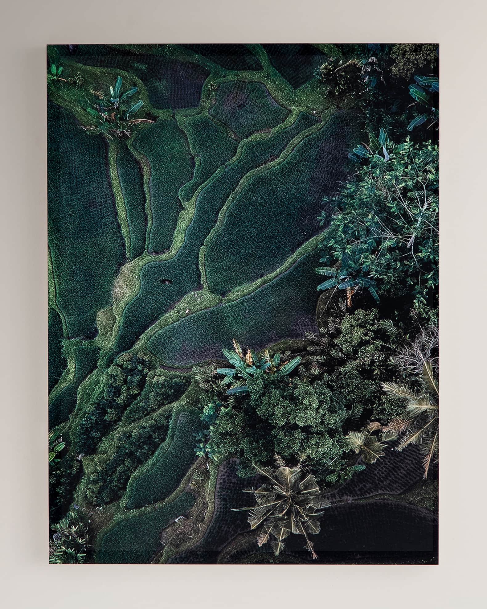"Forever Green" Photography Print on Maple Box Framed Wall Art 0