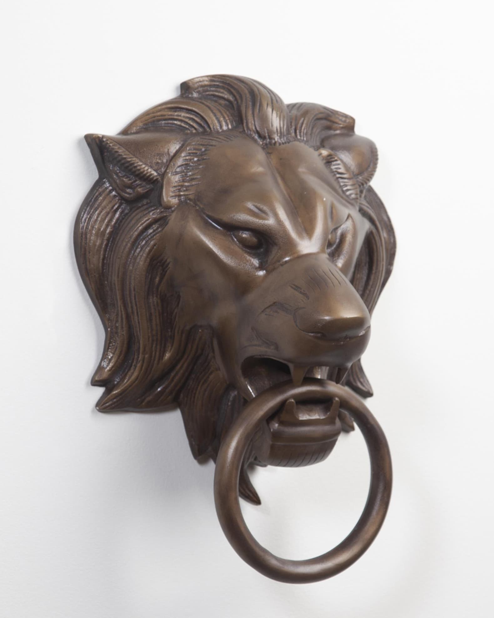Lion Head Door Knocker 1