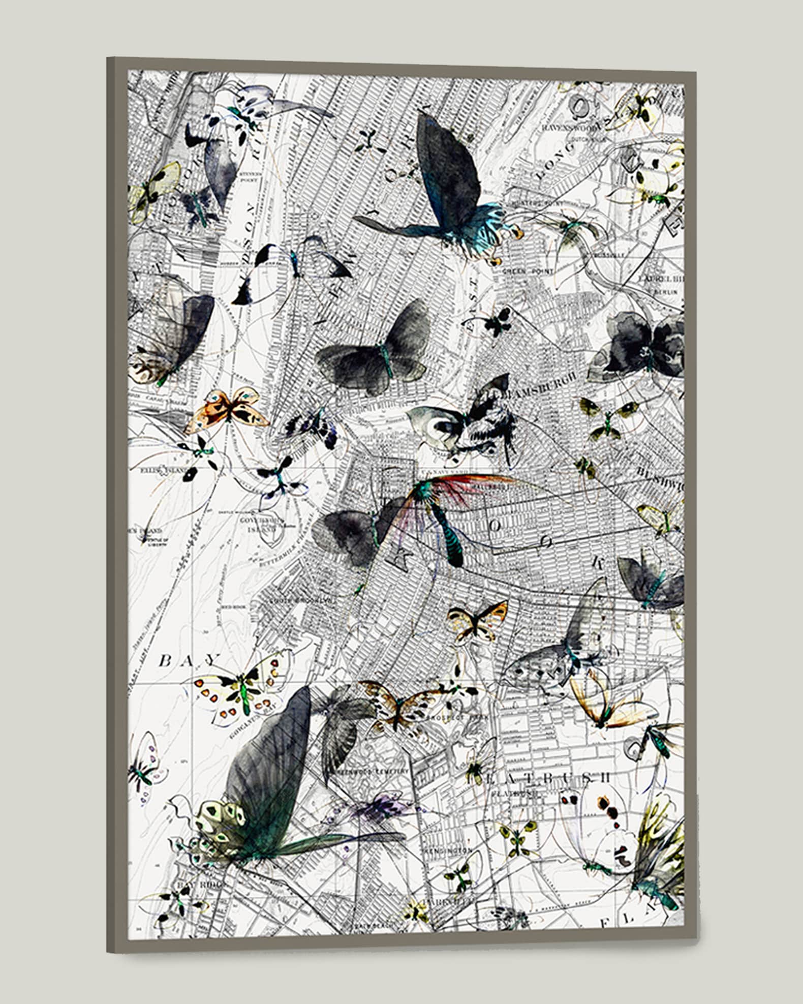 "New York Butterfly Map II" Wall Art 1