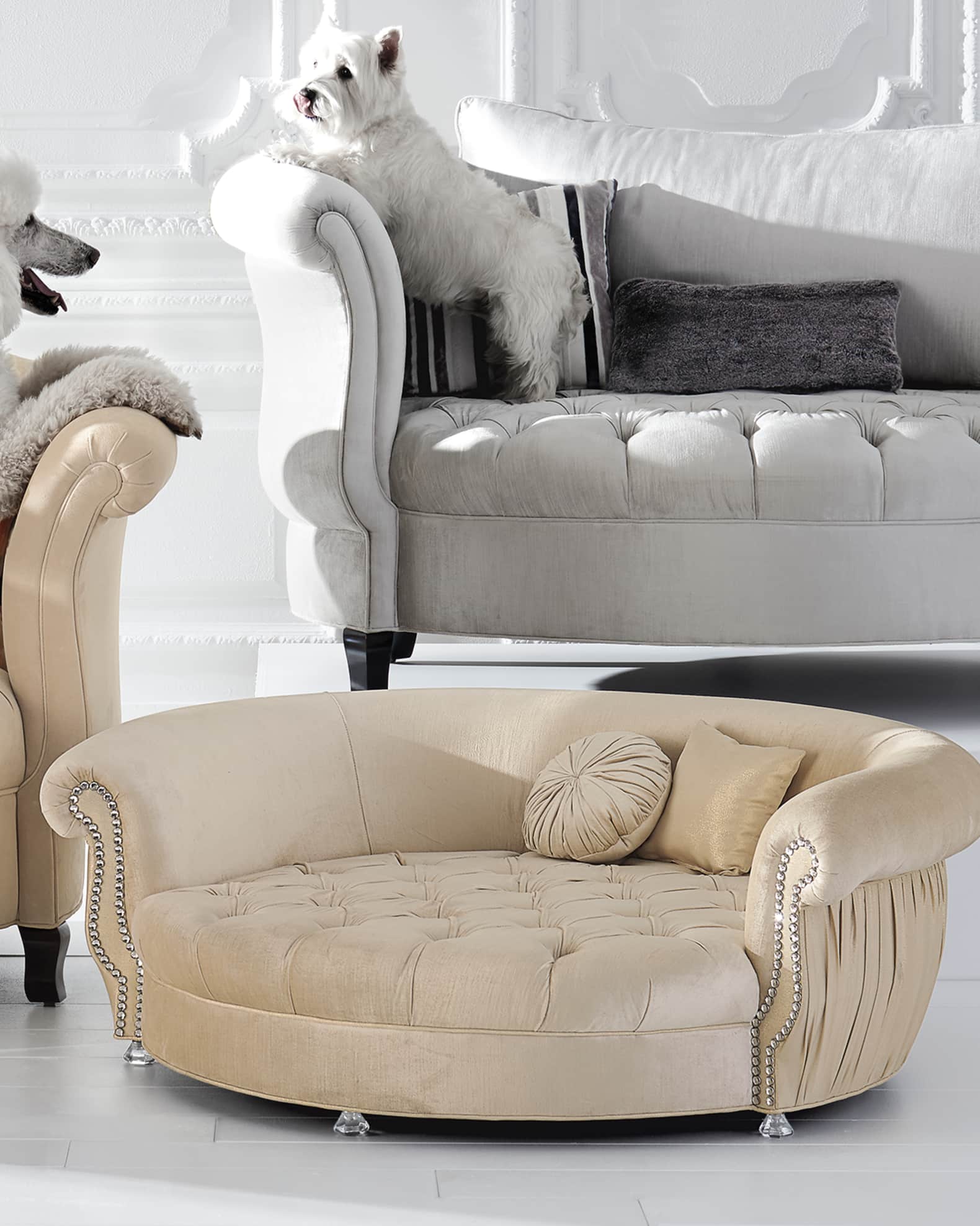 Haute house dog bed 2025