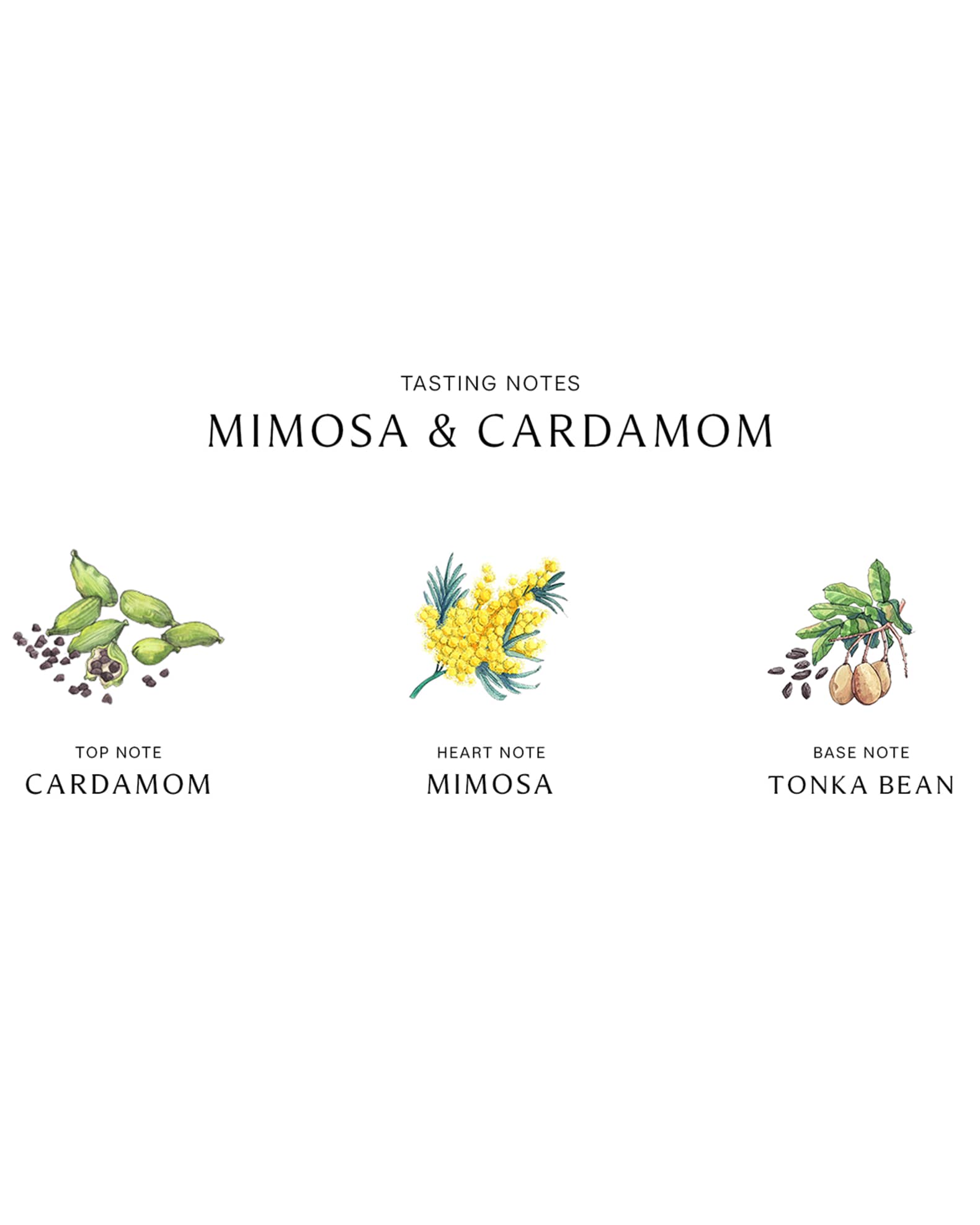 Mimosa & Cardamom Cologne - Jo Malone London | Sephora