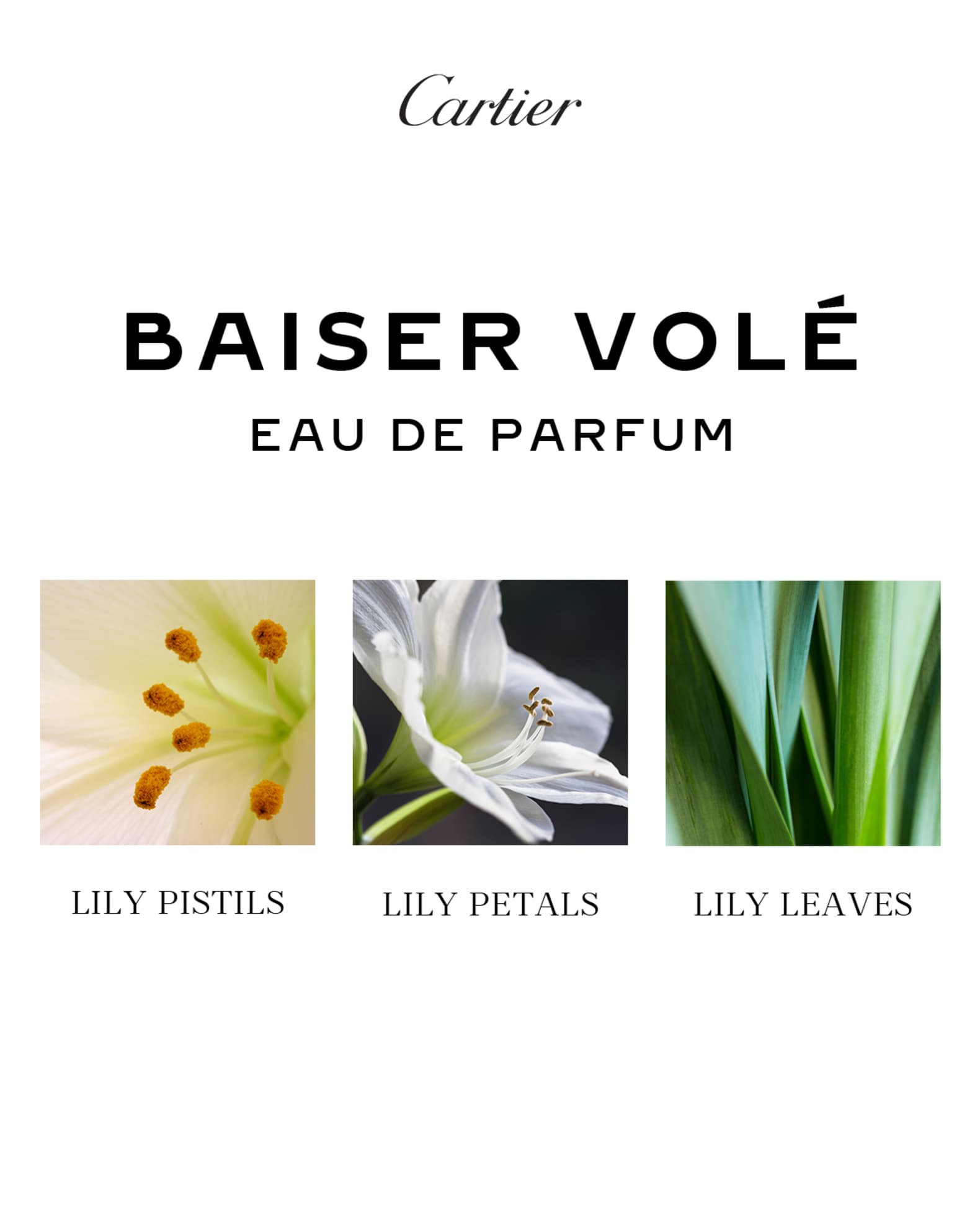 Parfum baisers volés cartier clearance