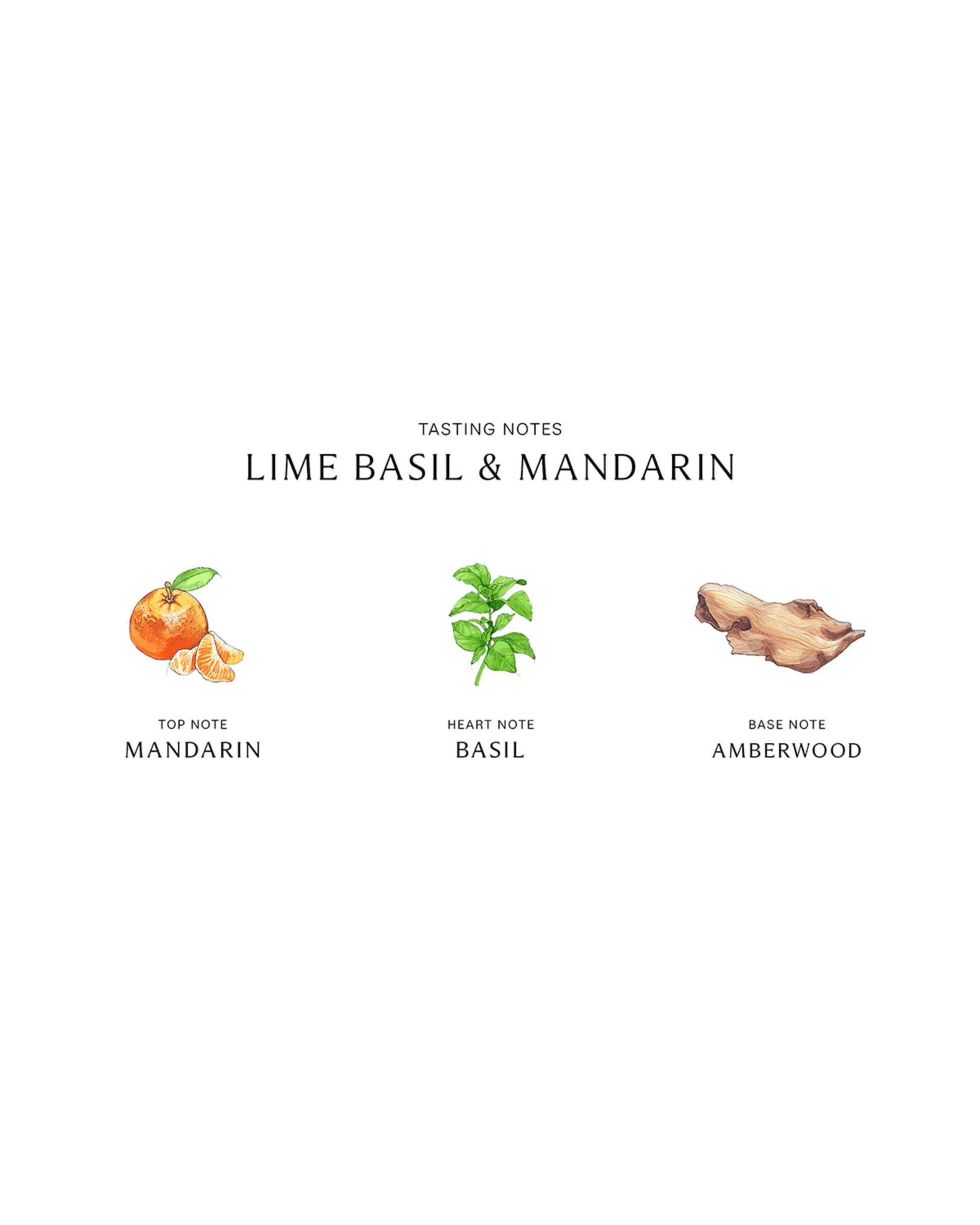 Jo Malone London Lime Basil Mandarin Diffuser, 5.5 oz. | Neiman Marcus