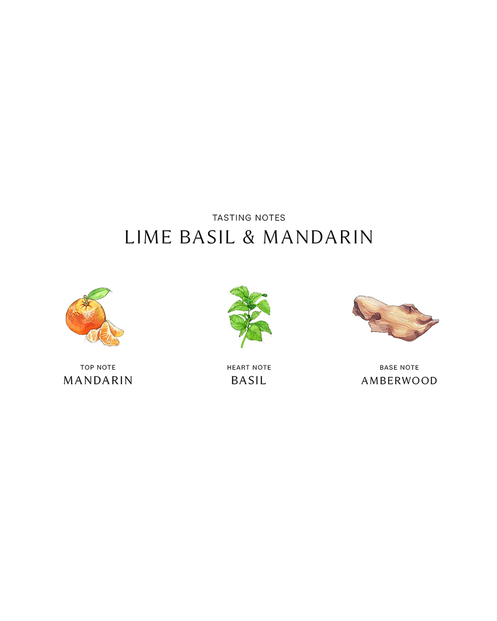 Jo Malone London Lime Basil & Mandarin Luxury Candle, 2.5kg 