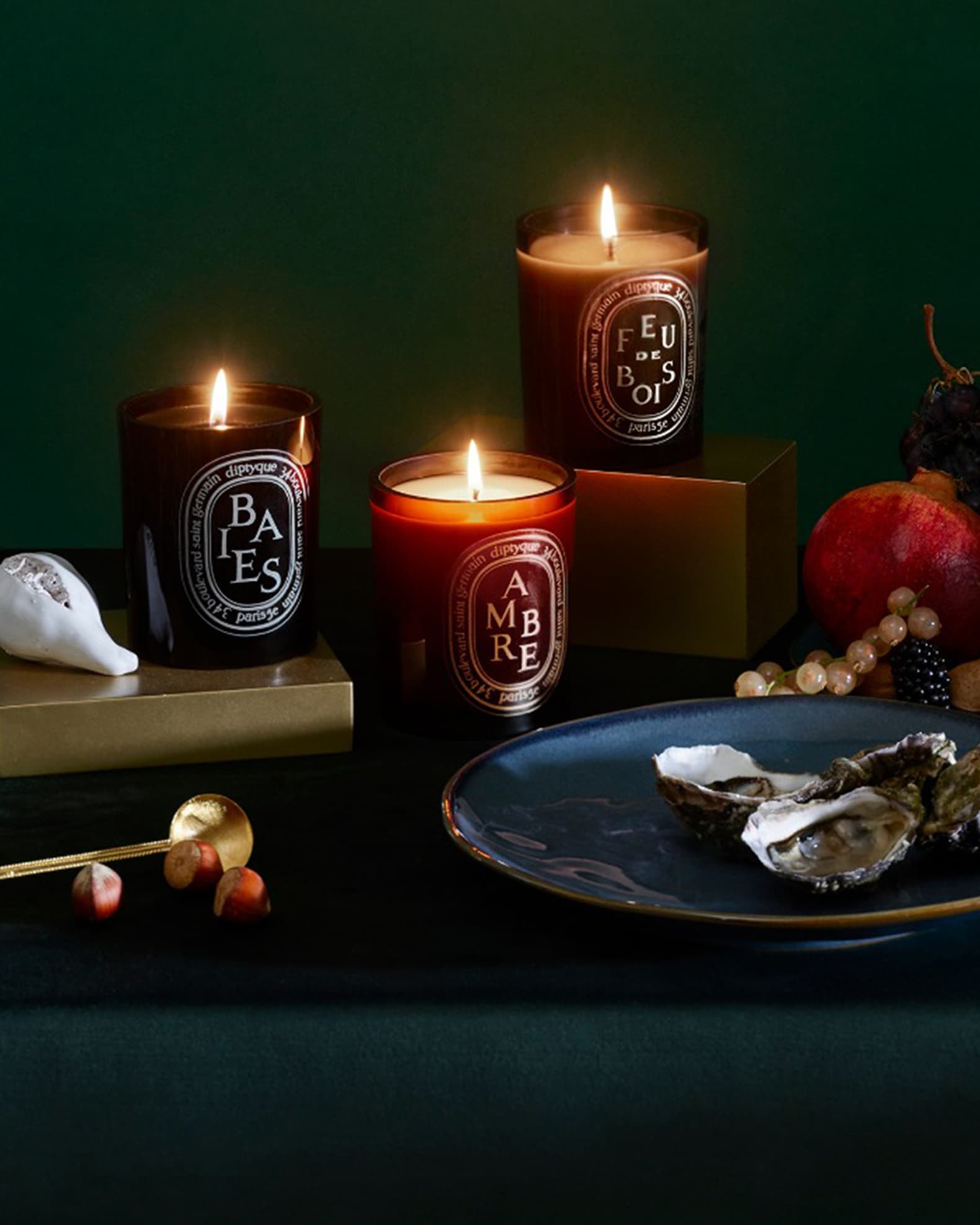DIPTYQUE Feu de Bois (Fire Wood) Scented Candle, 10.2 oz