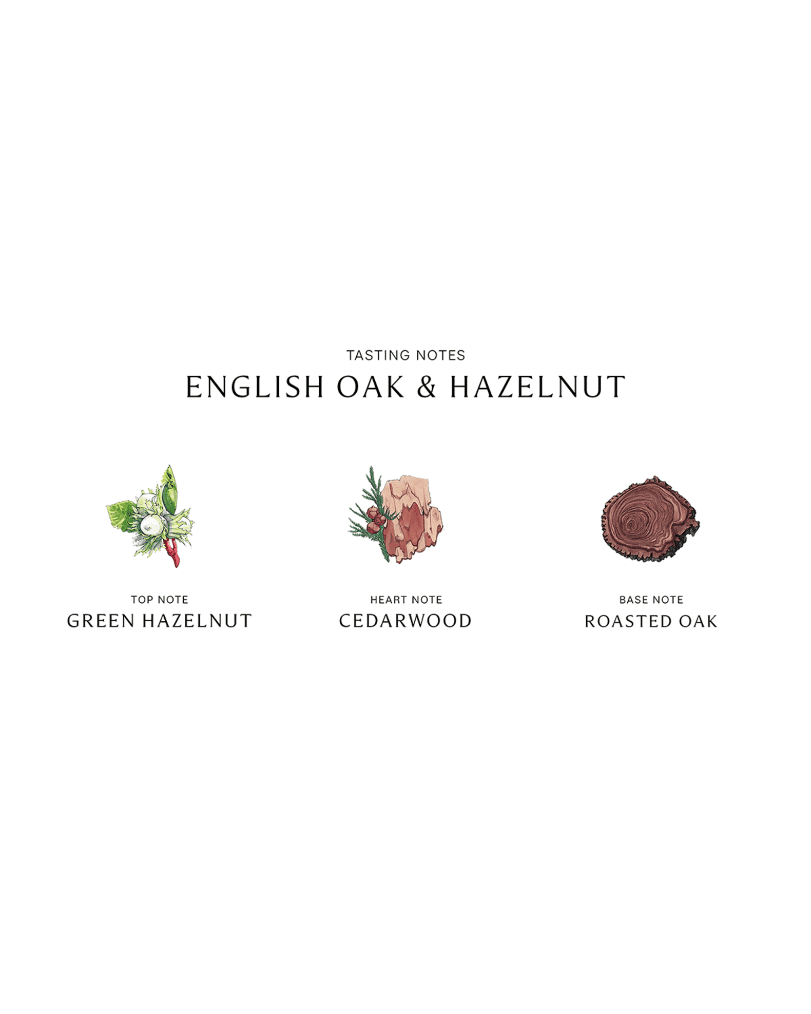 Jo Malone London™ English Oak & Hazelnut Cologne | Nordstrom