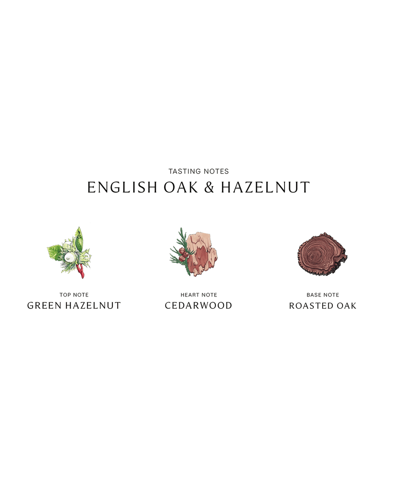 （このは）Jo Malone English Oak & Hazelnut English Oak & Hazelnut Cologne | Jo Malone London