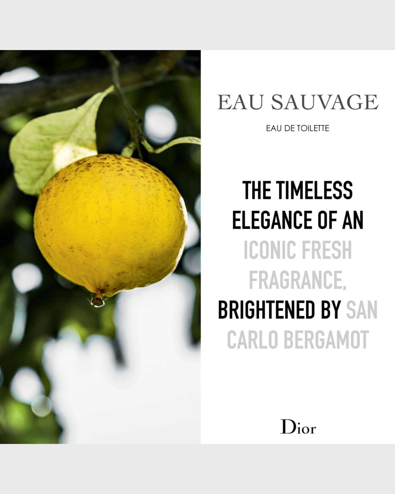 Dior Eau Sauvage Eau de Toilette, 3.4 oz. Neiman Marcus