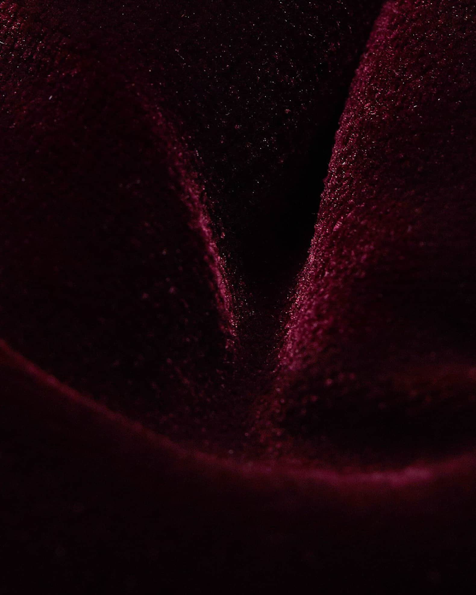 Velvet Pre-Tied Bow Tie 1