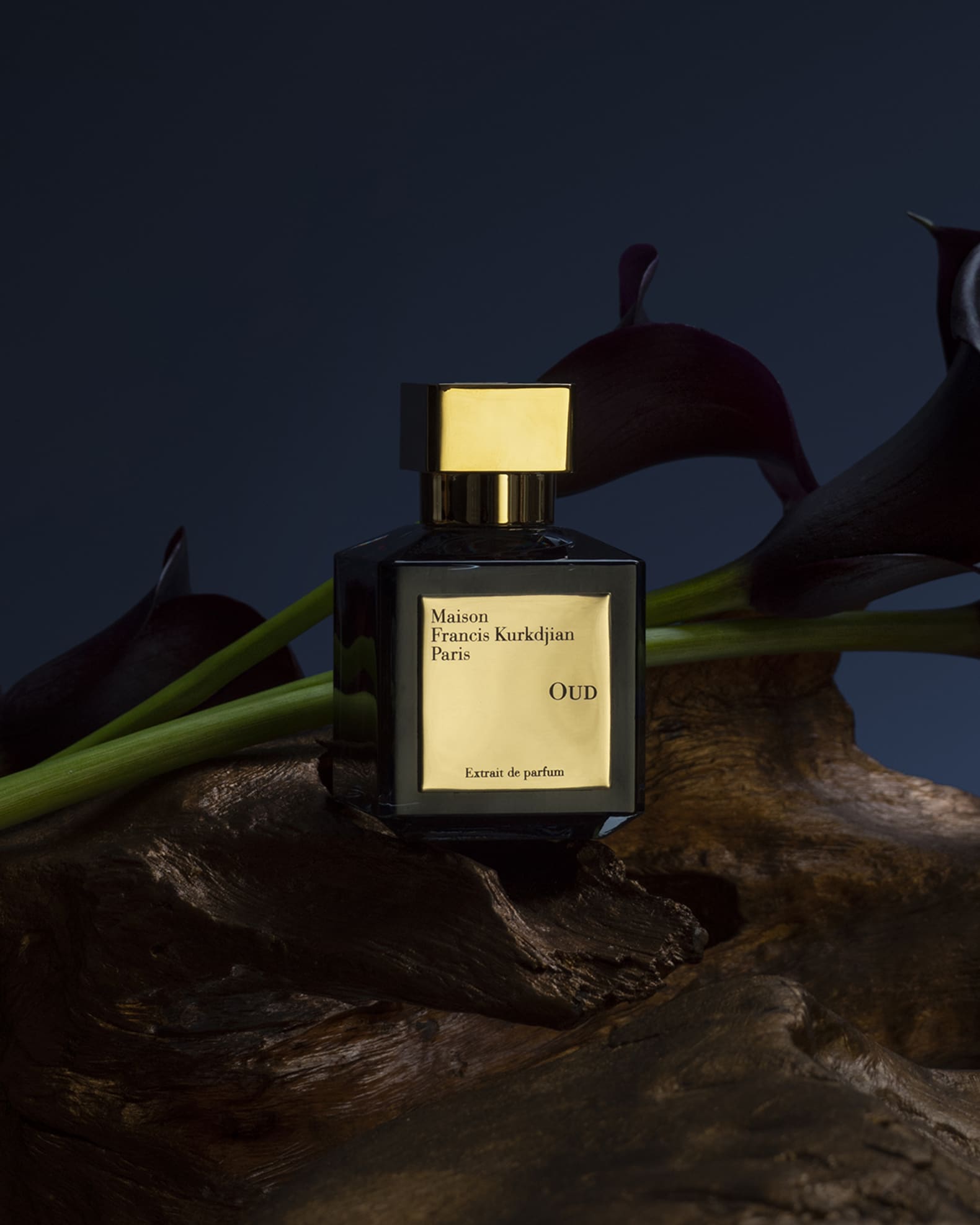 Maison Francis Kurkdjian OUD Extrait de Parfum, 2.4 oz. | Neiman