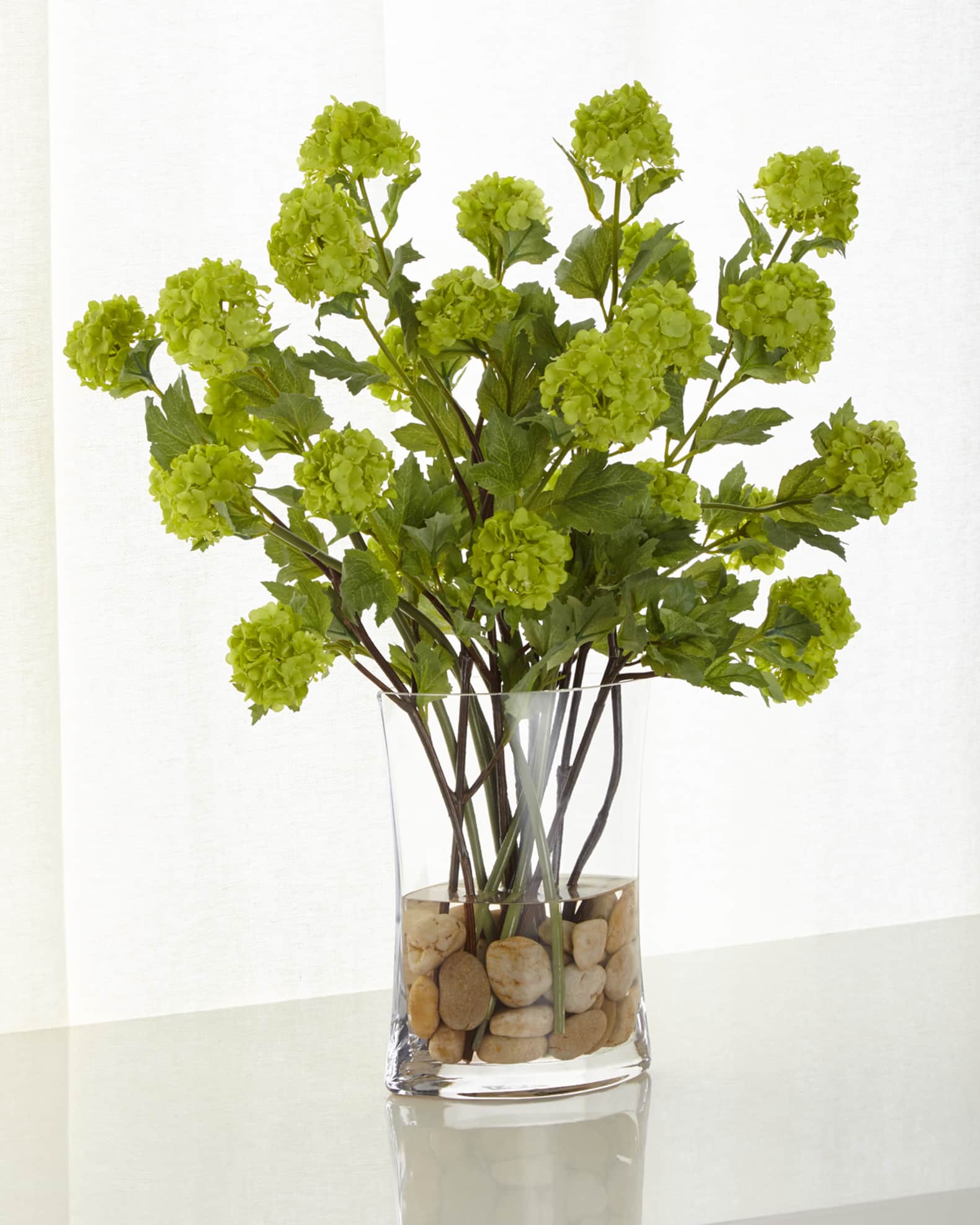 Vibrant Viburnum 0