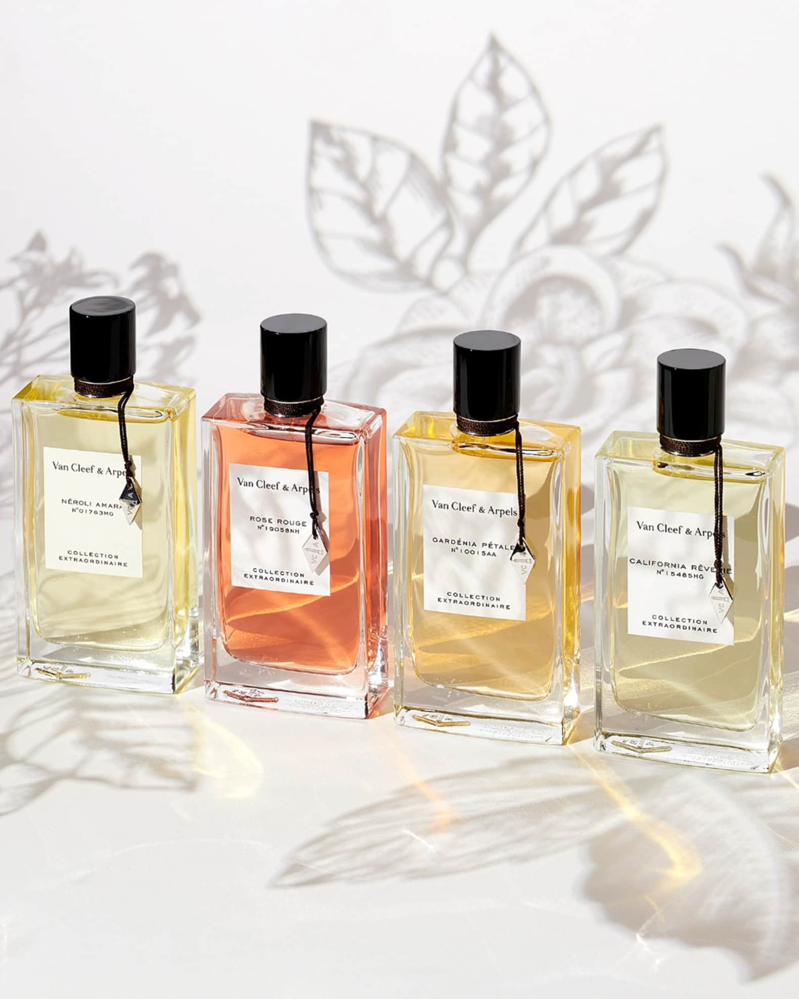 Van cleef arpels extraordinaire collection discount
