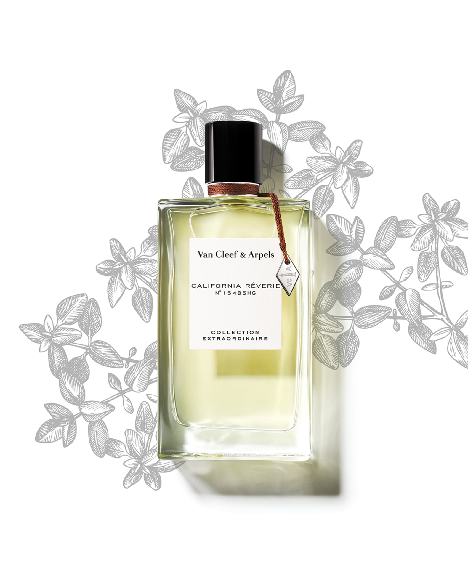 FRAGRANCE REVERIES - News