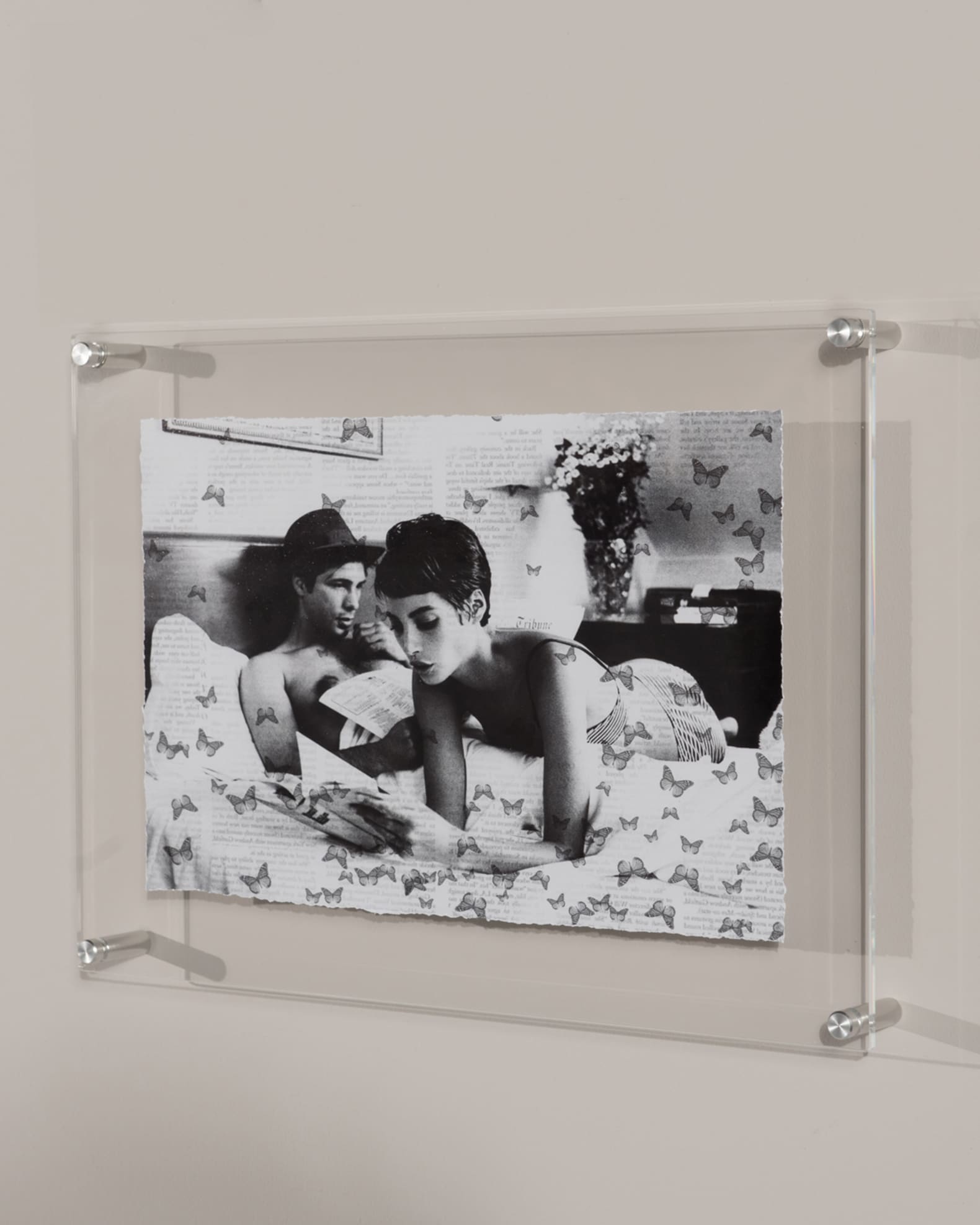 "Butterfly Stories" Print Photography Art in Plexi Frame 1