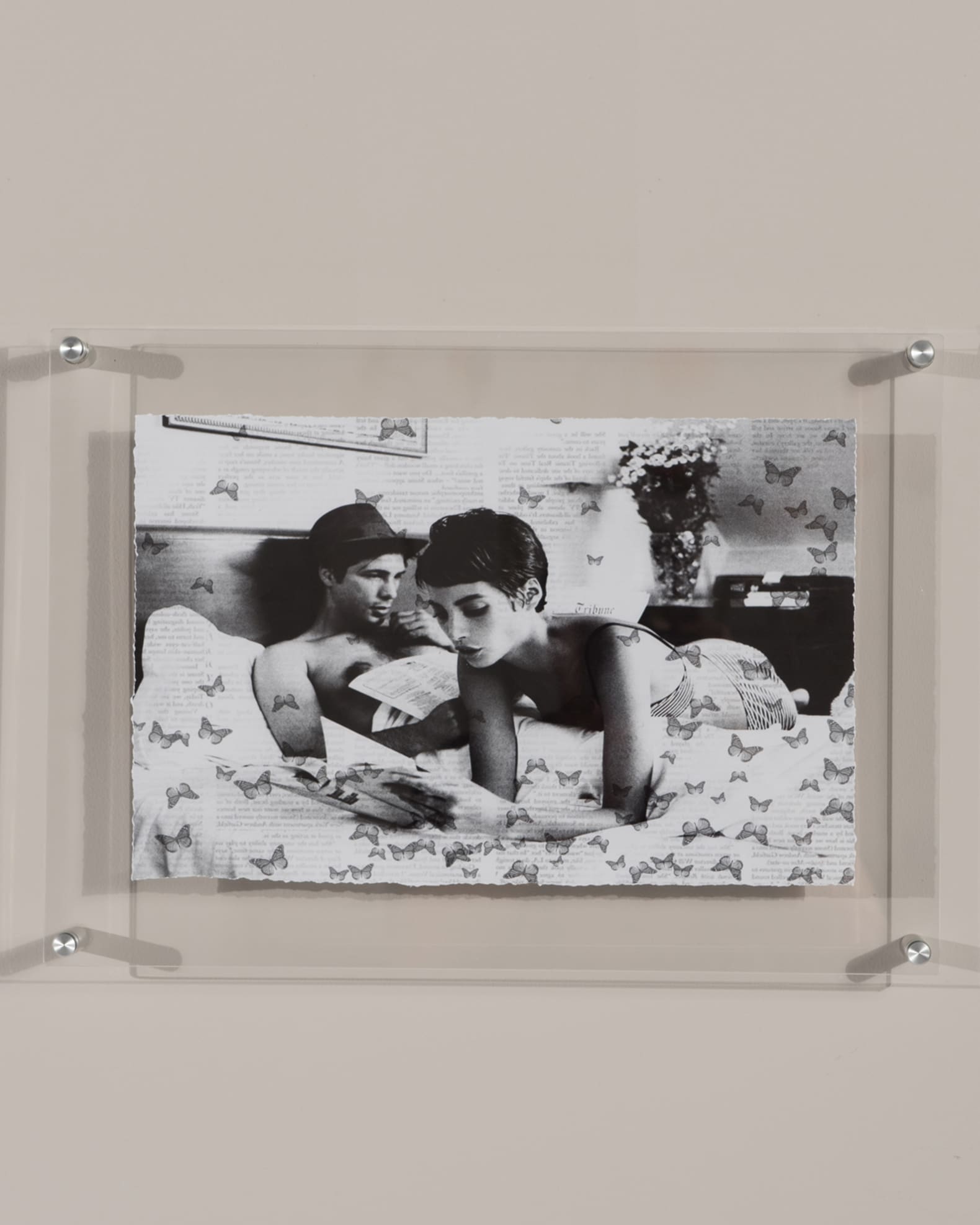 "Butterfly Stories" Print Photography Art in Plexi Frame 0