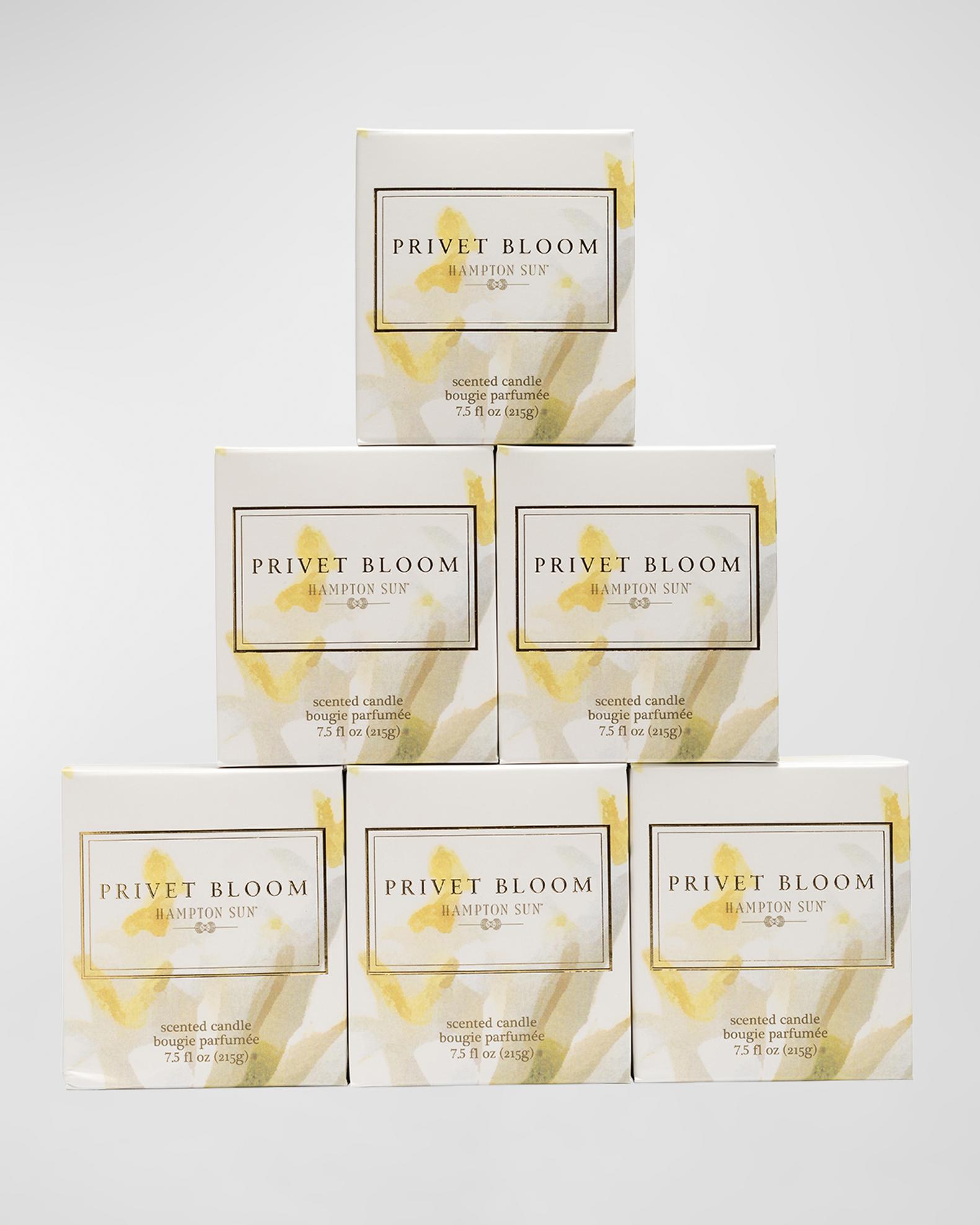 Hampton Sun 7.5 oz. Privet Bloom Scented Candle | Neiman Marcus
