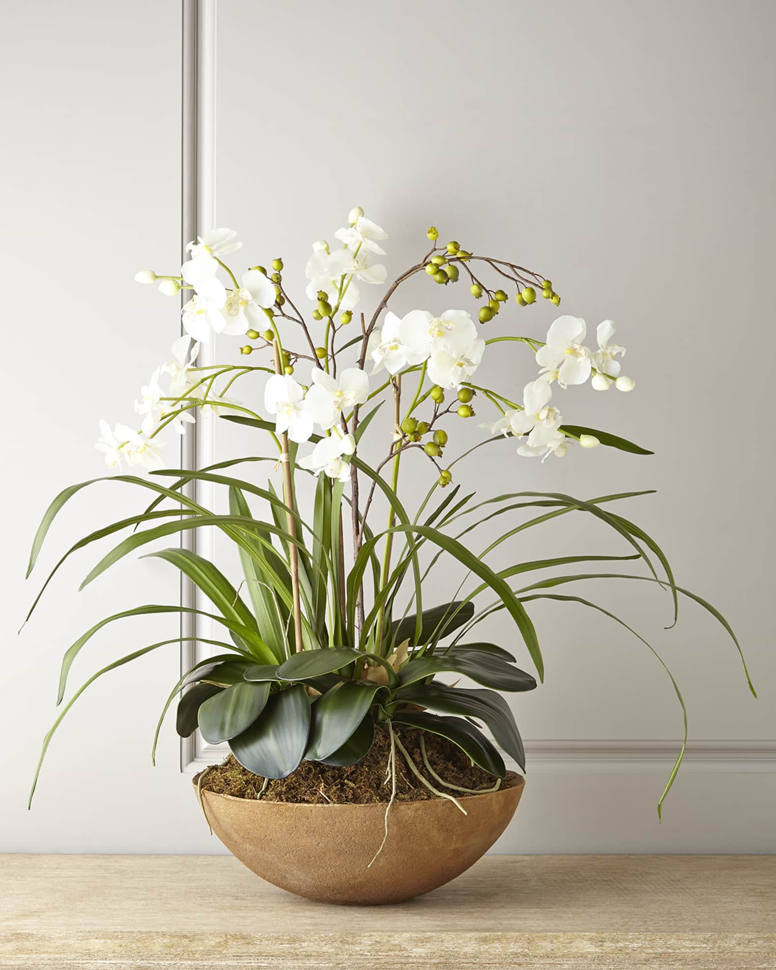 Faux Moth Orchid in Planter 0
