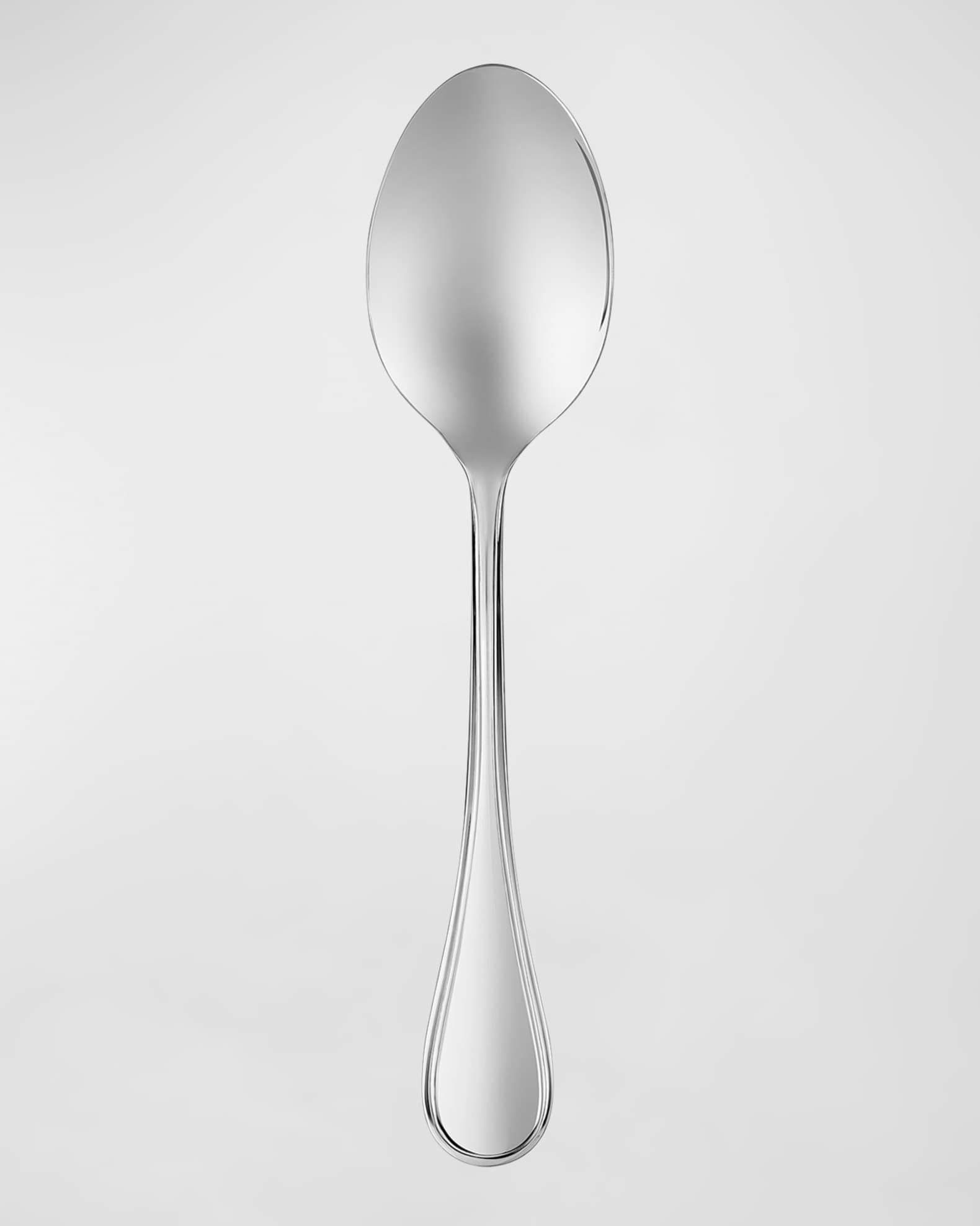  Albi Acier Large Serving Spoon 0