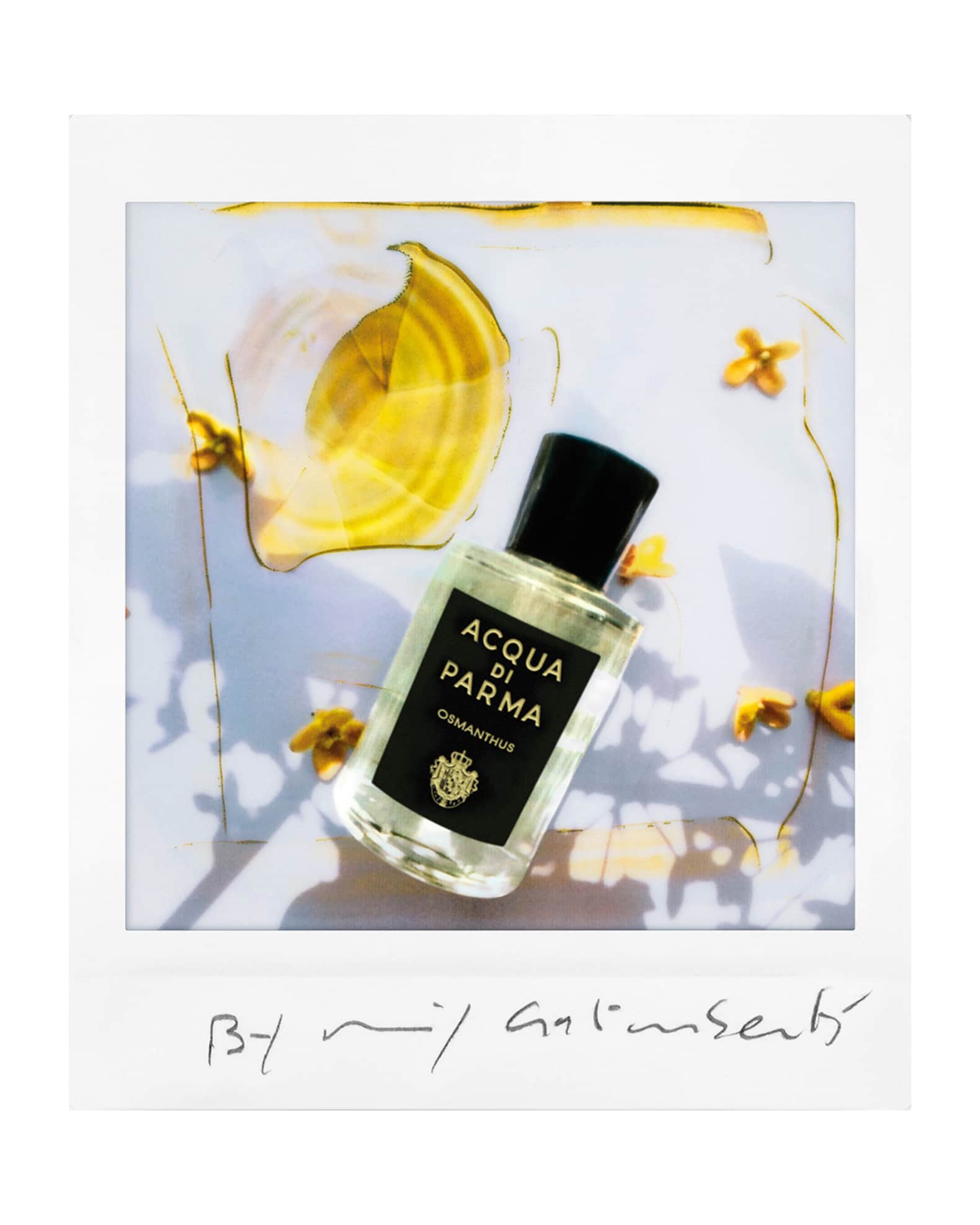 Amazon.com : Acqua Di Parma Osmanthus Eau De Parfum Spray