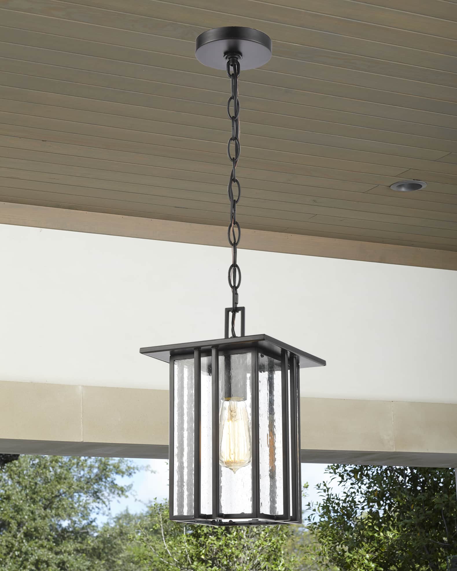 Radnor 1-Light Outdoor Lighting Pendant in Matte Black with Seedy Glass 0