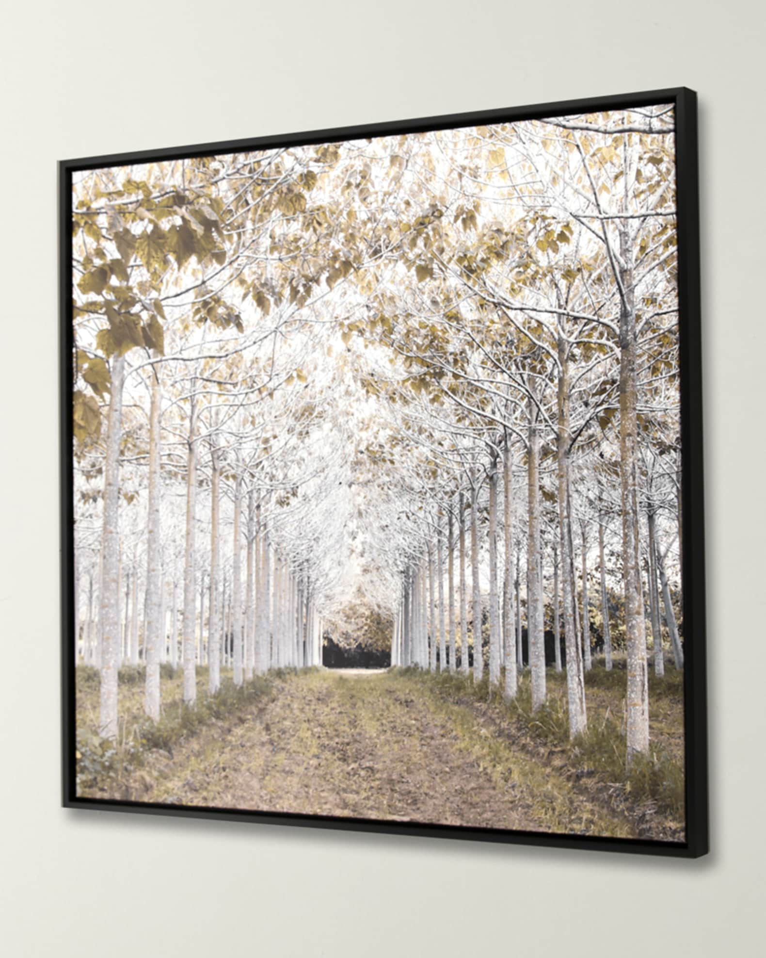 "White Gold" Giclee Canvas Art by Frank 1