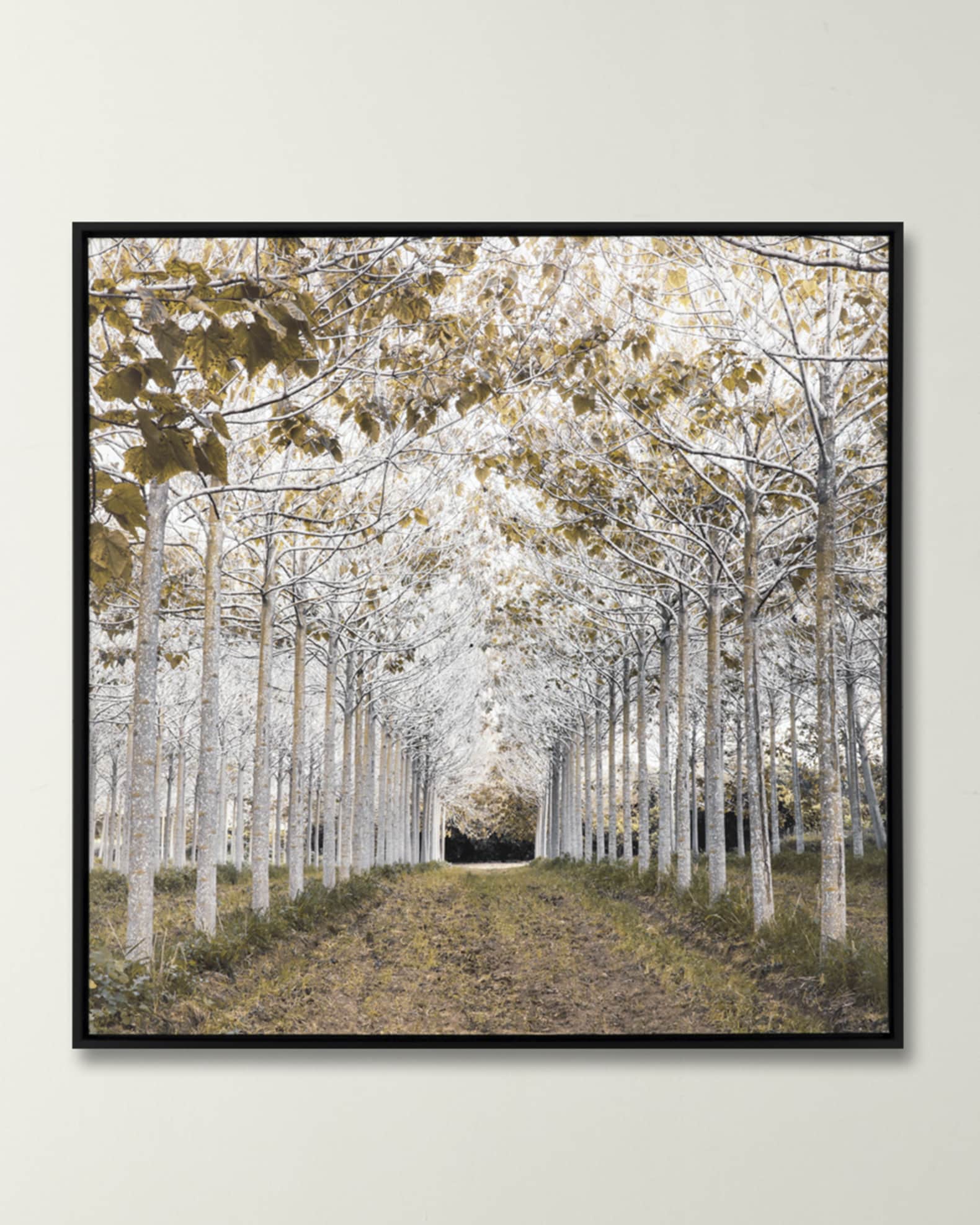"White Gold" Giclee Canvas Art by Frank 0