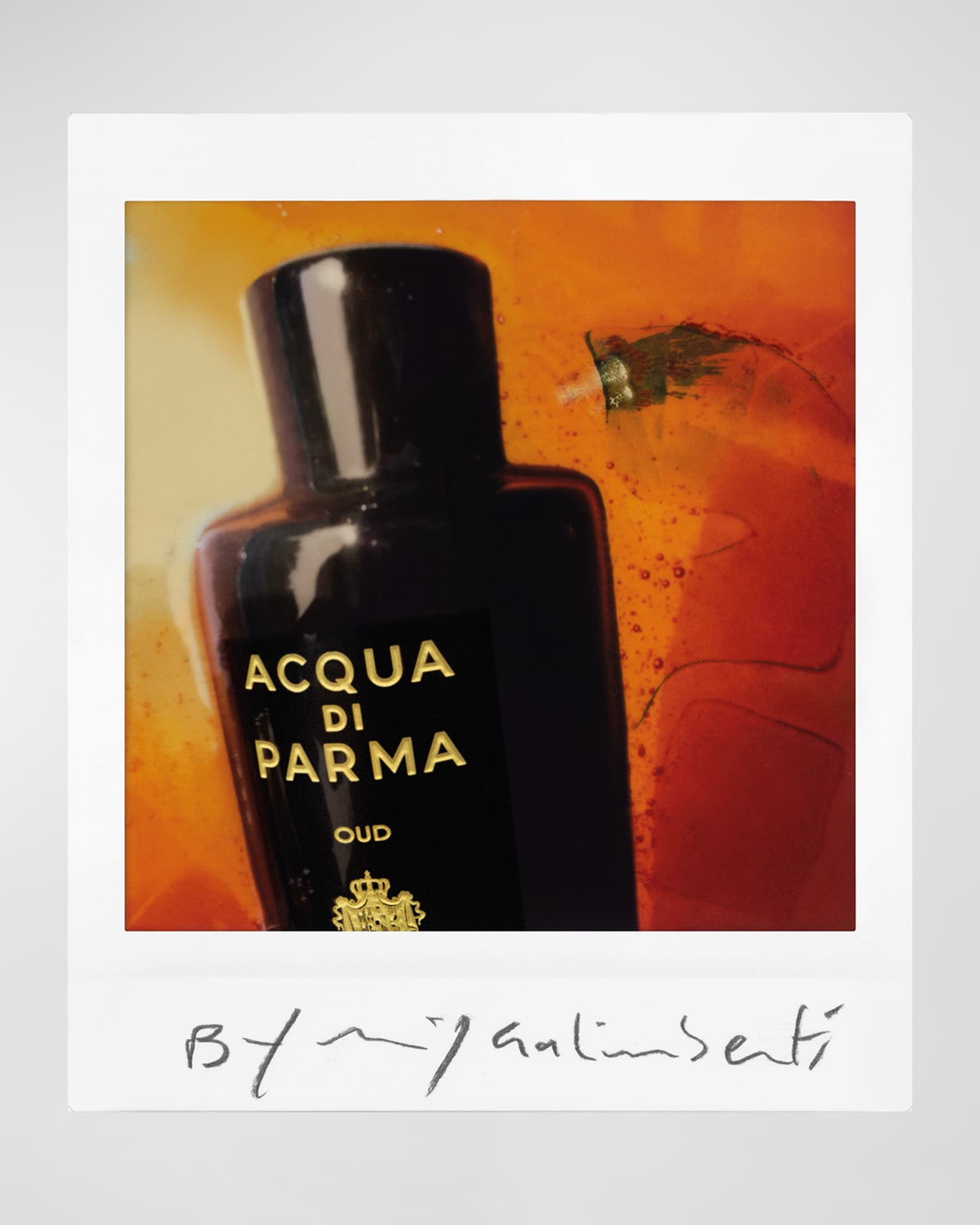 Acqua Di Parma Oud