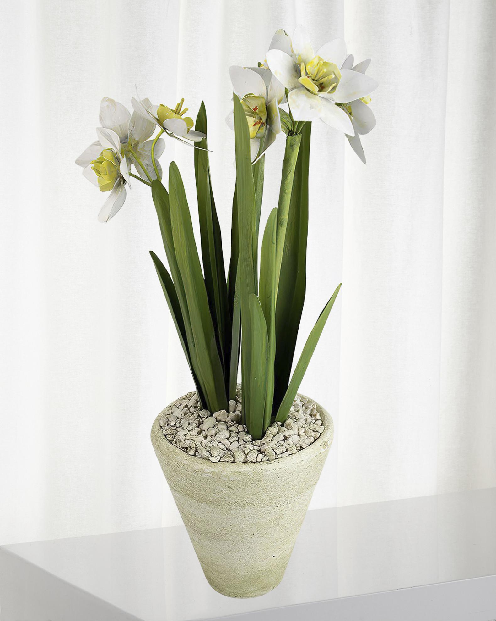 Tommy Mitchell Narcissus December Birth Flower in White Terracotta