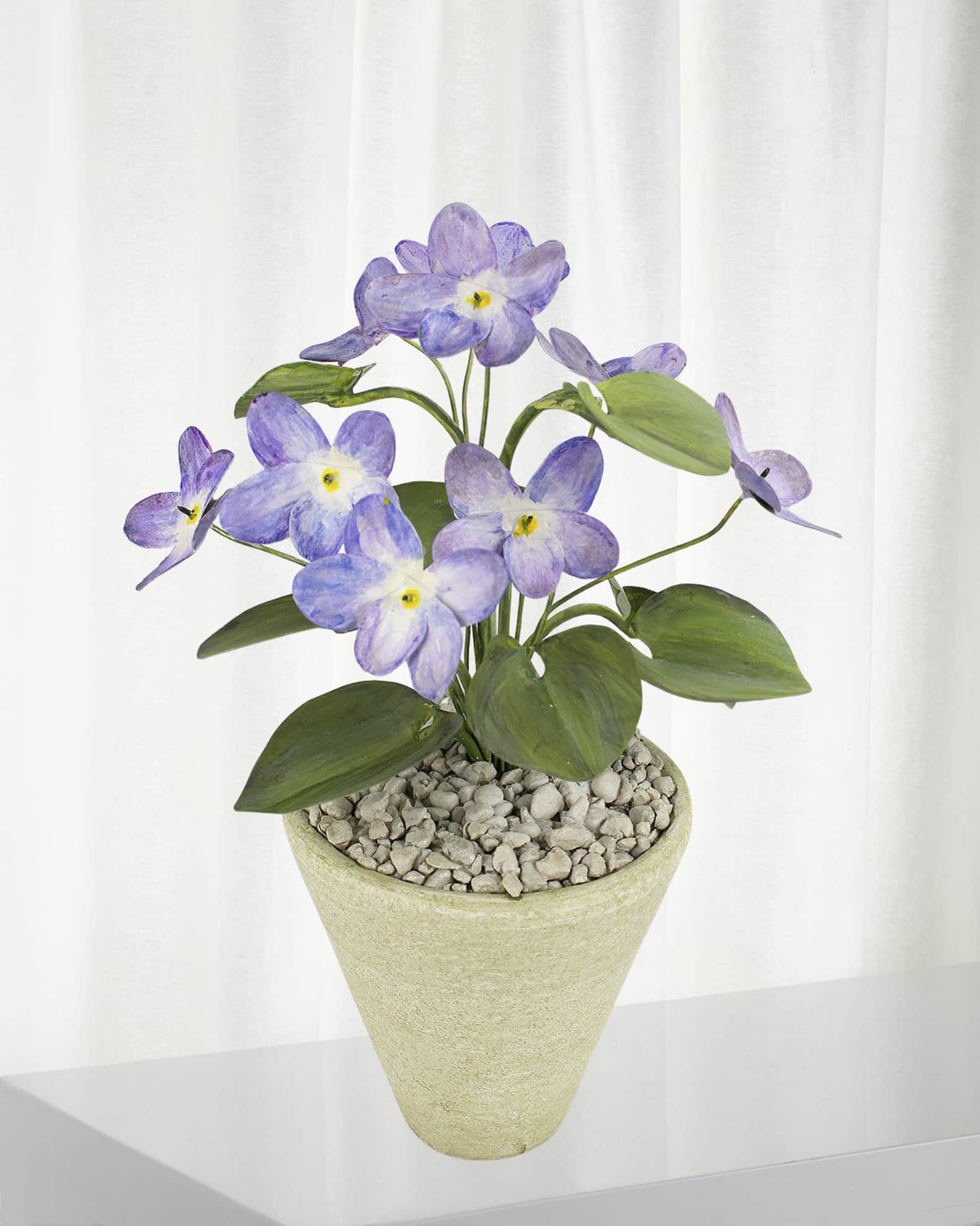 Violet February Birth Flower in White Terracotta Pot 0