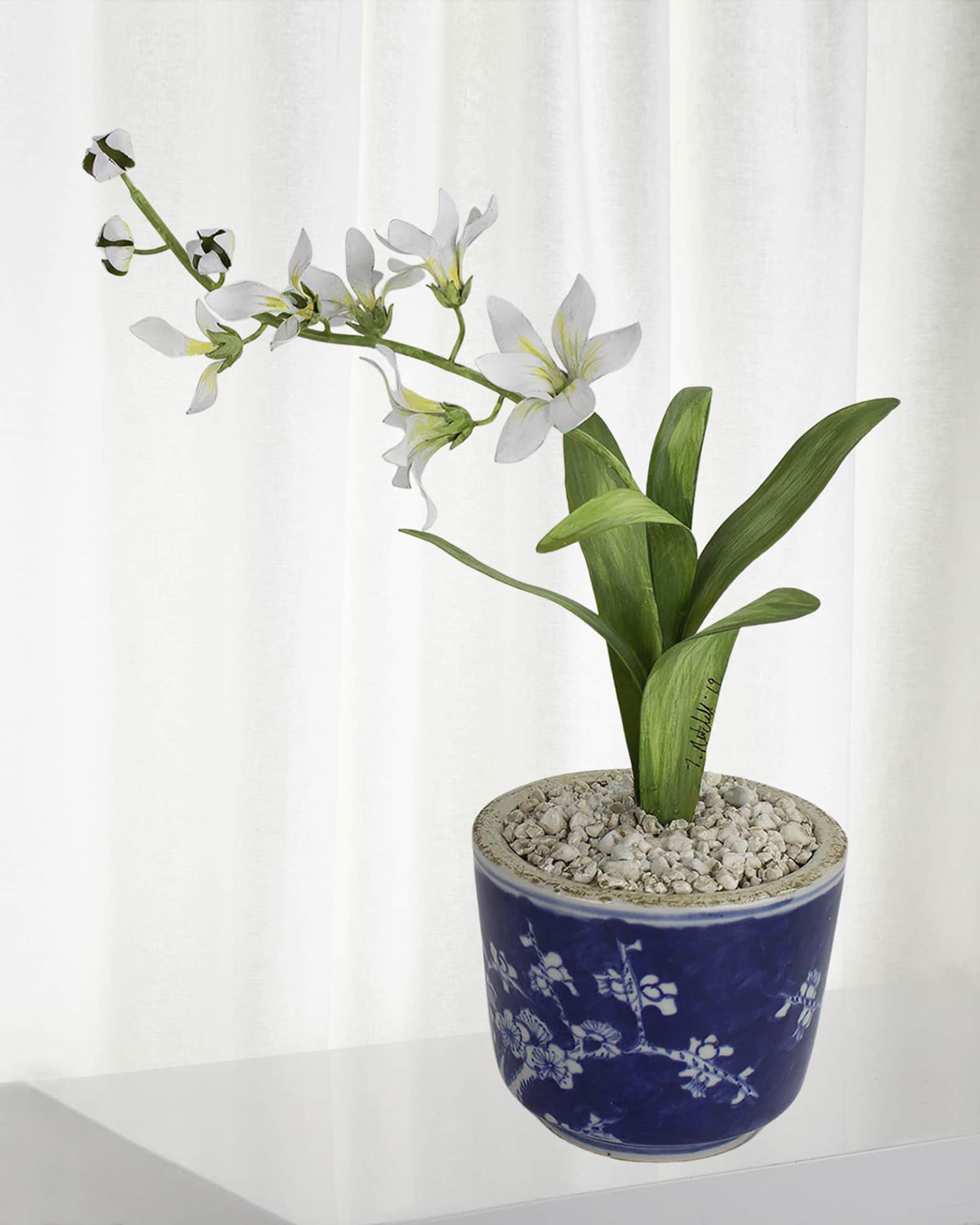 Freesia March Birth Flower in Ceramic Pot 0