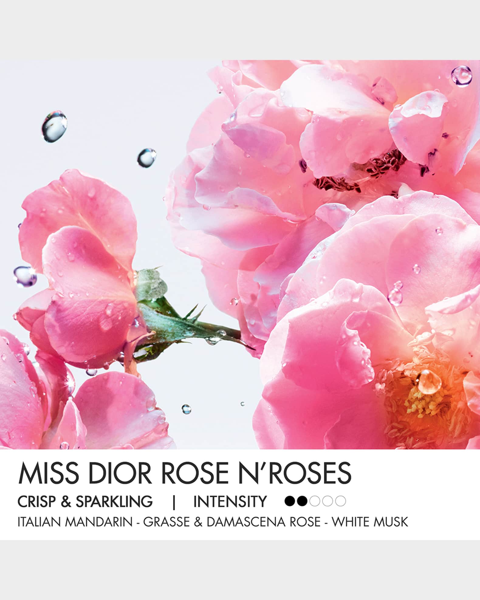 Roses n roses dior sales