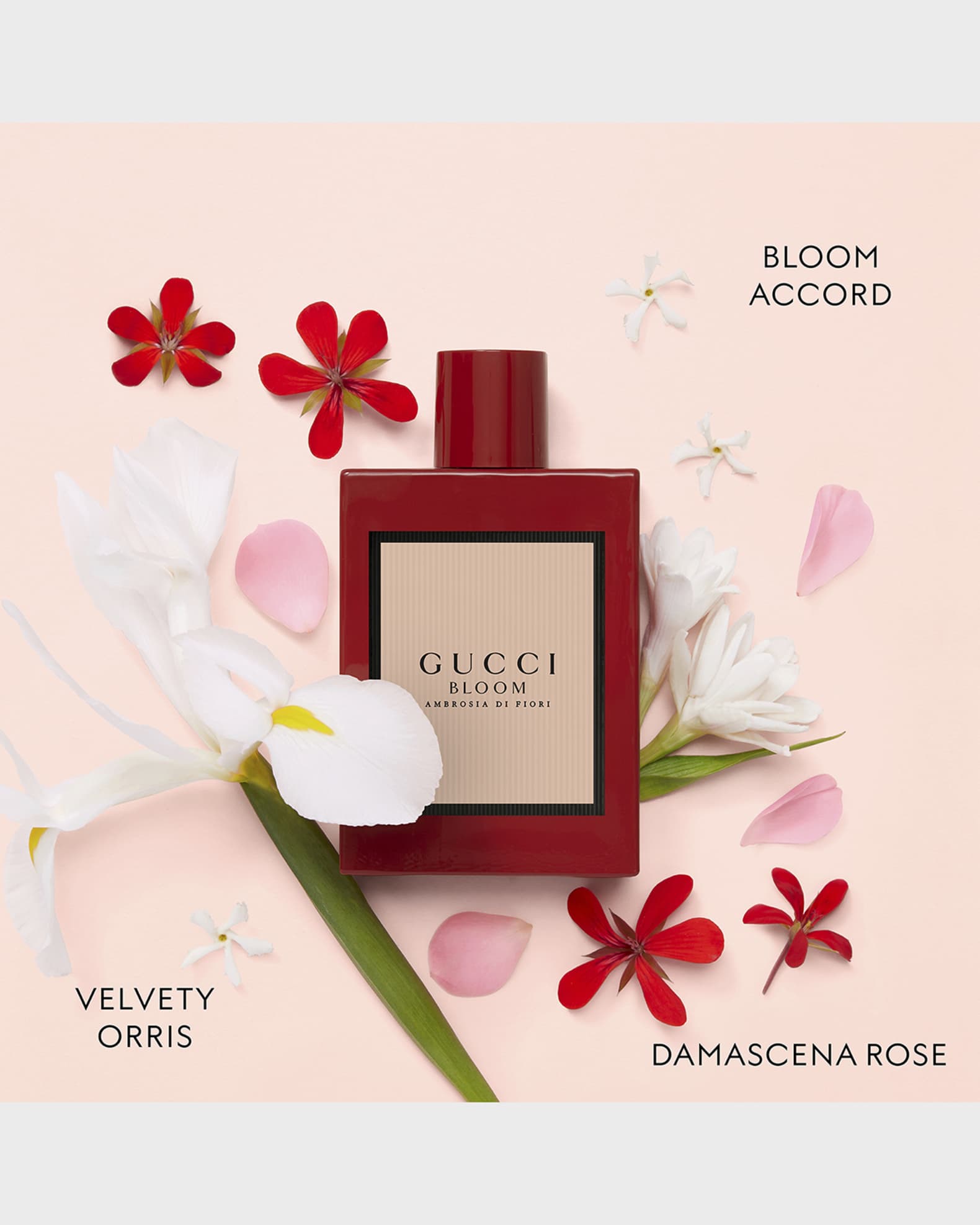 Gucci bloom 3.4 clearance