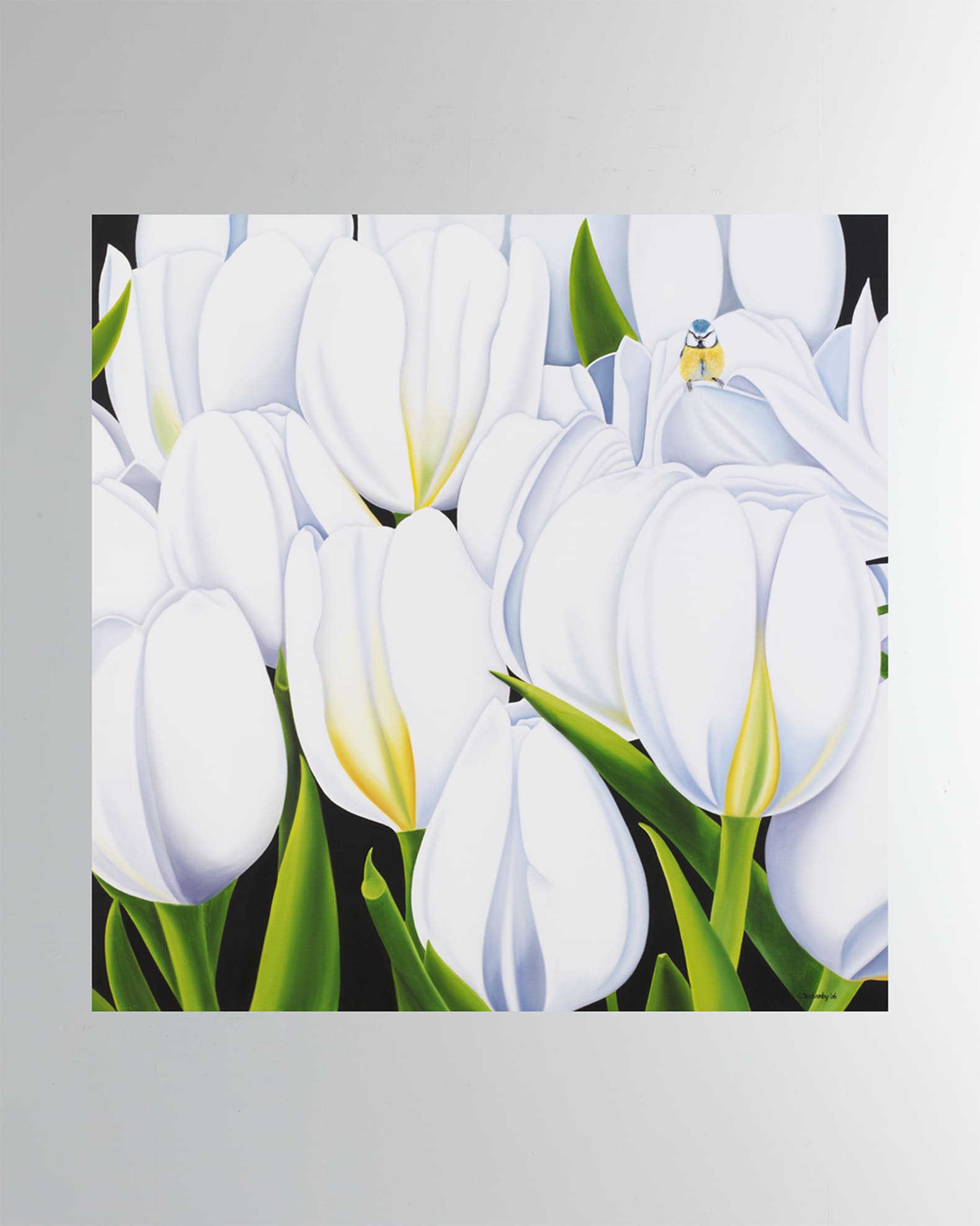 "Tulipes Blanches" Fine Art Print 0
