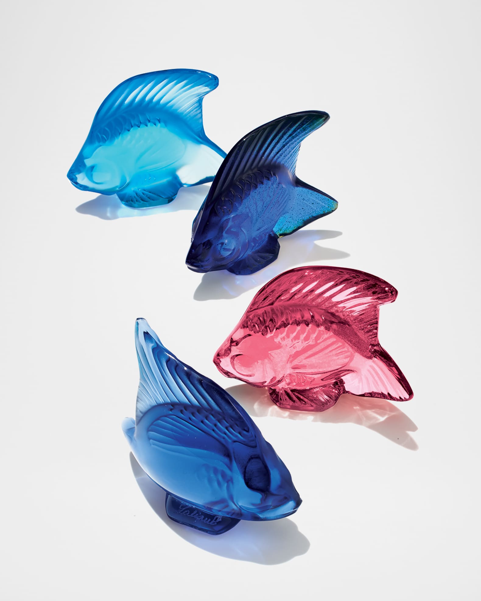 Fuchsia Fish 1