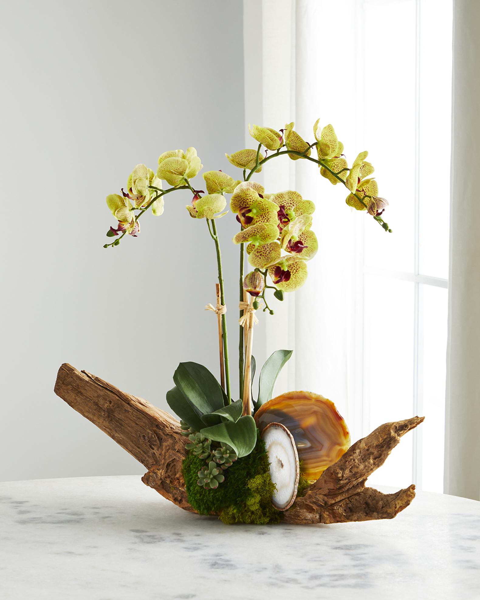 T&C Floral Company Green Orchid in Driftwood Agate Slabs | Neiman
