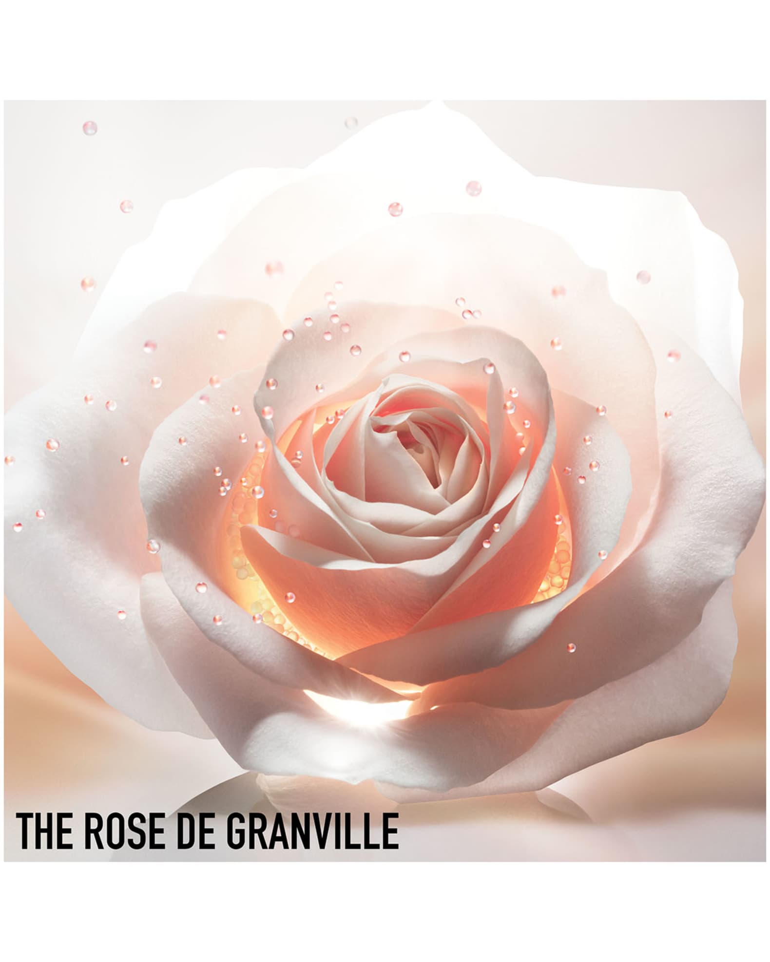 Rose de granville dior top