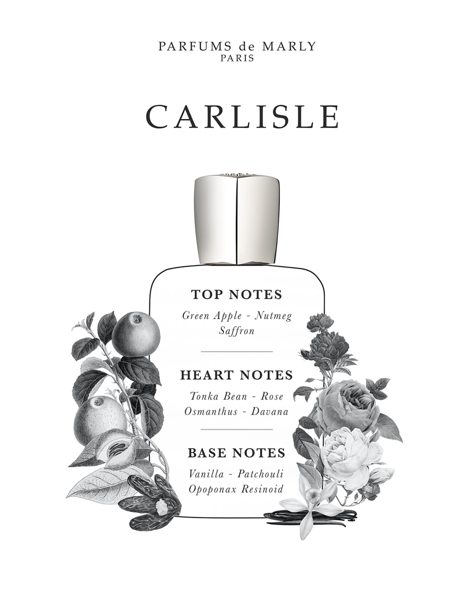 Carlisle 男性用香水 125ml Parfumes De Marly – Damiani