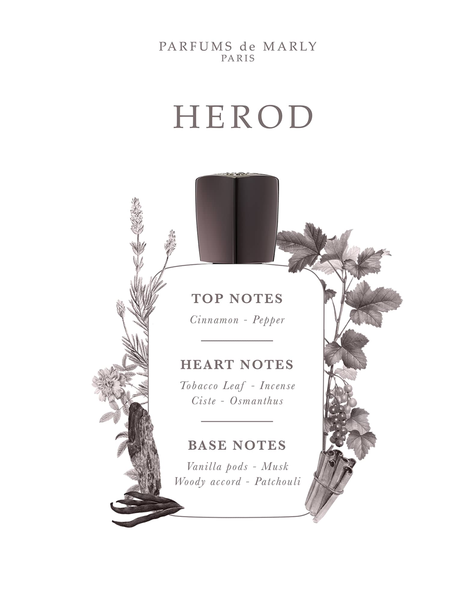 Parfums de Marly Herod Eau de Parfum, 4.2 oz. | Neiman Marcus Parfums de Marly Herod Eau de Parfum, 4.2 oz. | Neiman Marcus
