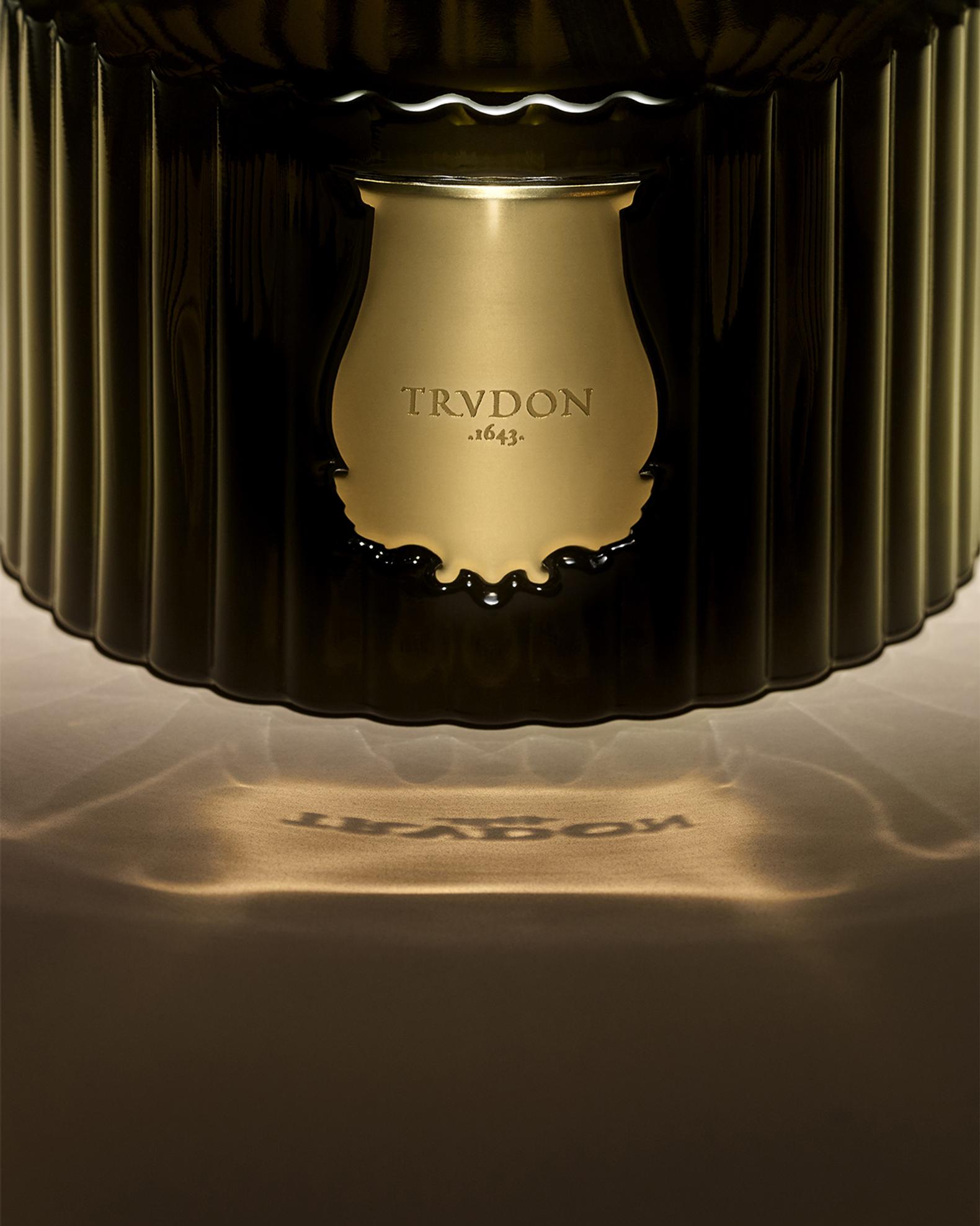 Trudon Abd El Kader Le Diffuseur - Moroccan Mint Tea, 11.8 oz. | Neiman ...
