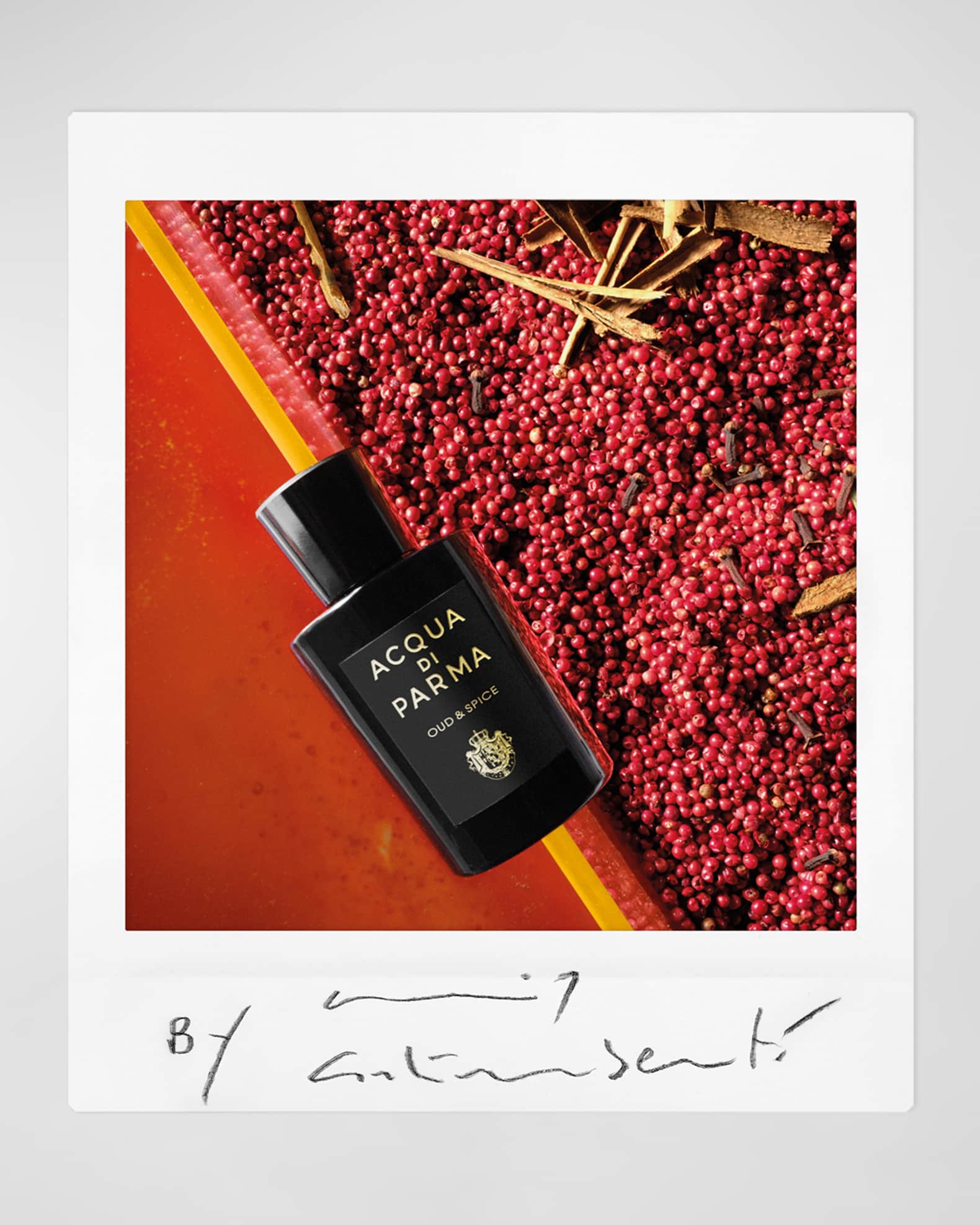 Acqua di parma signatures of the sun oud eau de parfum deals