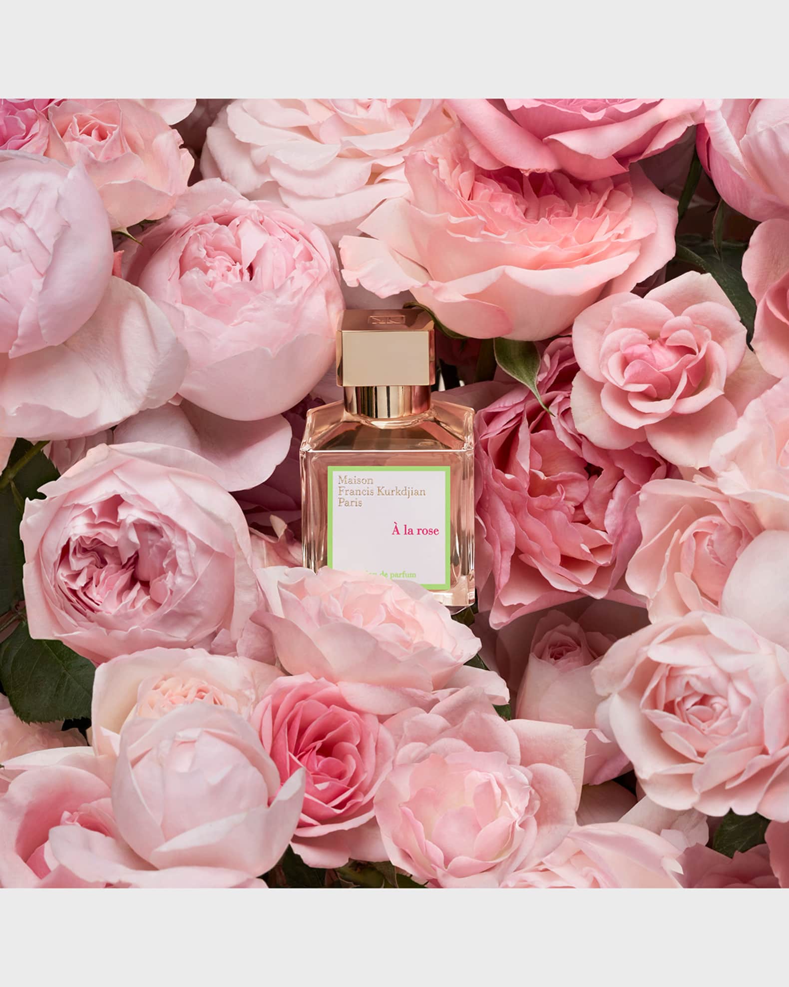Amazon.com : Maison Francis Kurkdjian A La Rose Eau De