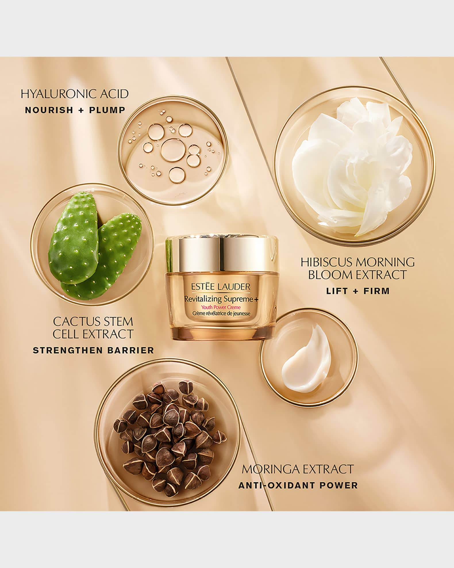 Neiman marcus supreme deals