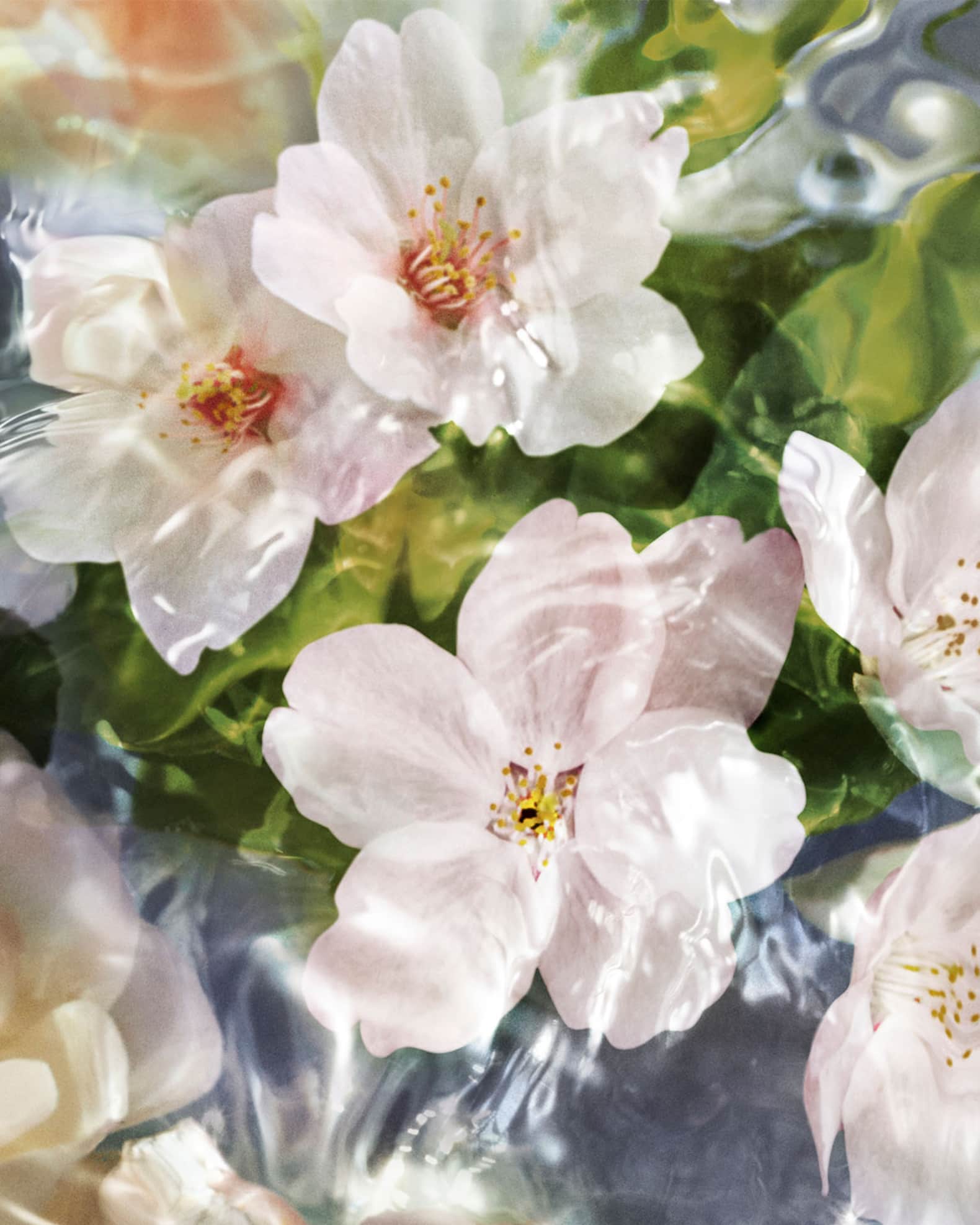 Aqua Allegoria Flora Cherrysia Cherry Blossom Eau de Toilette 1