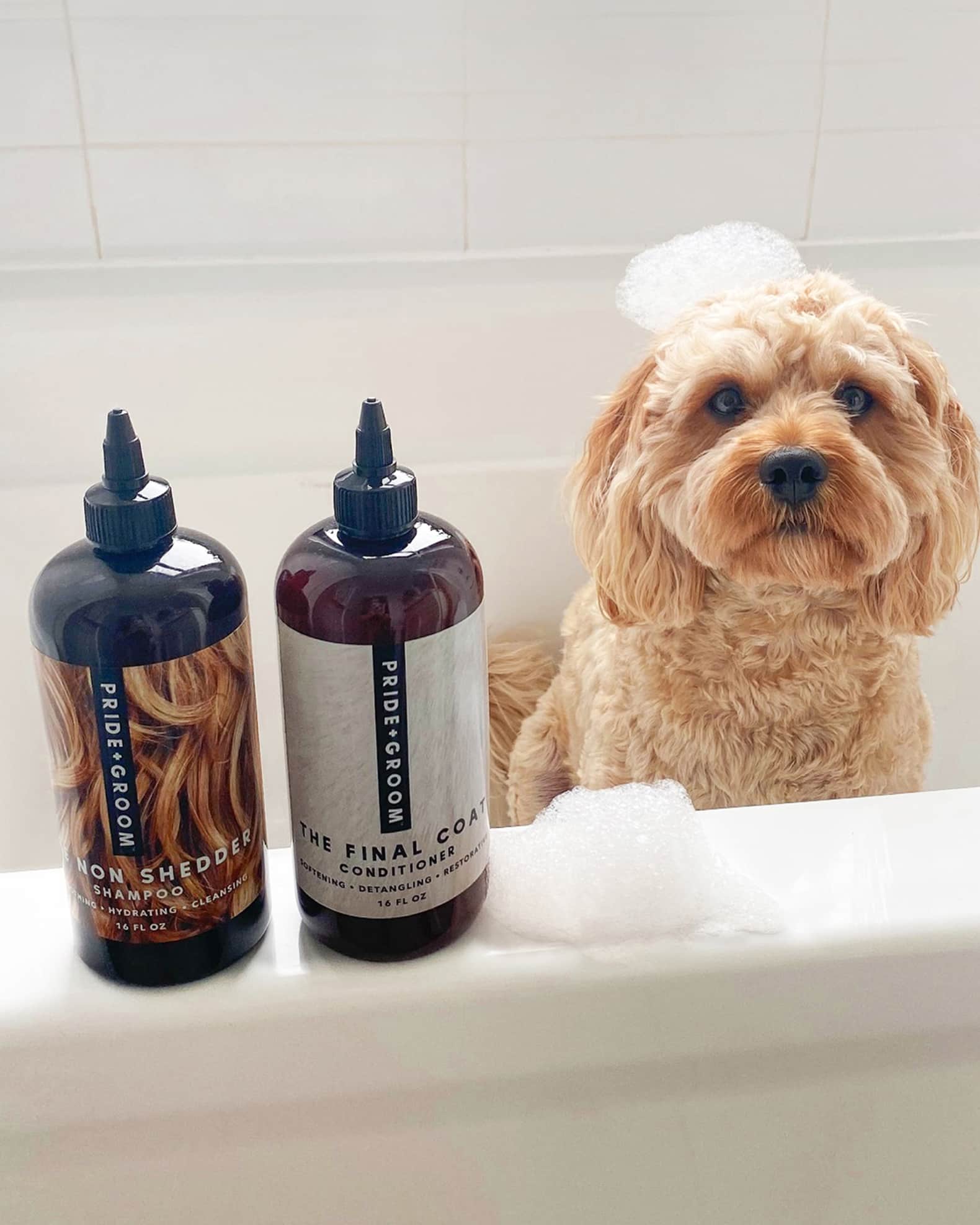 Pride Groom The Non Shedder Luxe Dog Grooming Gift Set Neiman Marcus