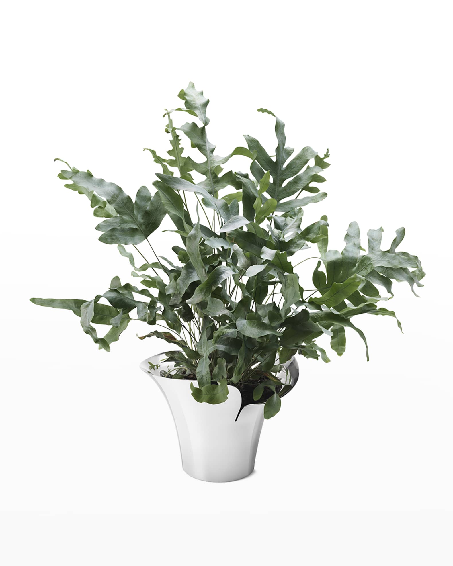 Georg Jensen Bloom Botanica Medium Stainless Steel Flower Pot