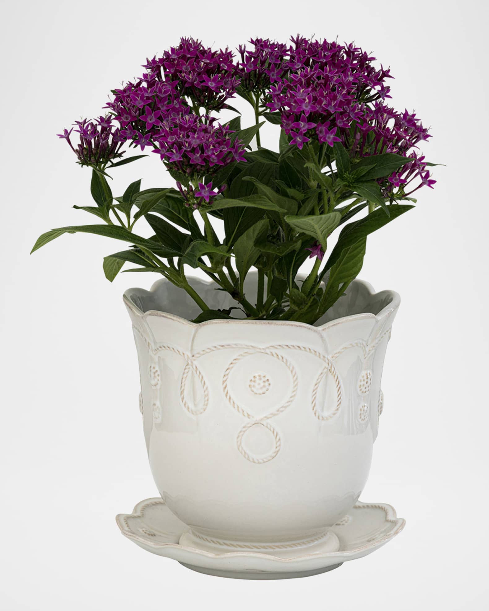 Jardins du Monde 7" Planter - Whitewash 1