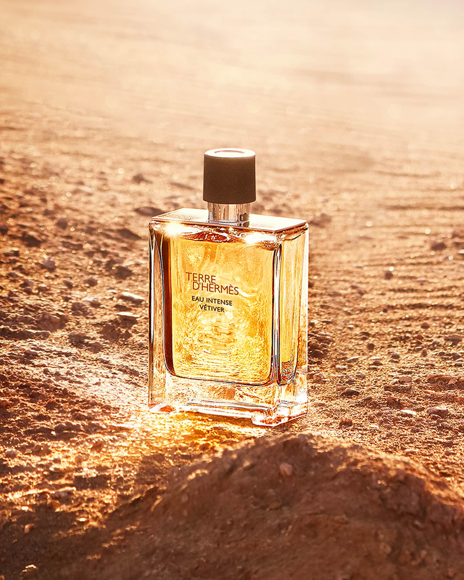 Hermes Terre d Hermes Eau Intense Vetiver 6.8 oz. Neiman Marcus